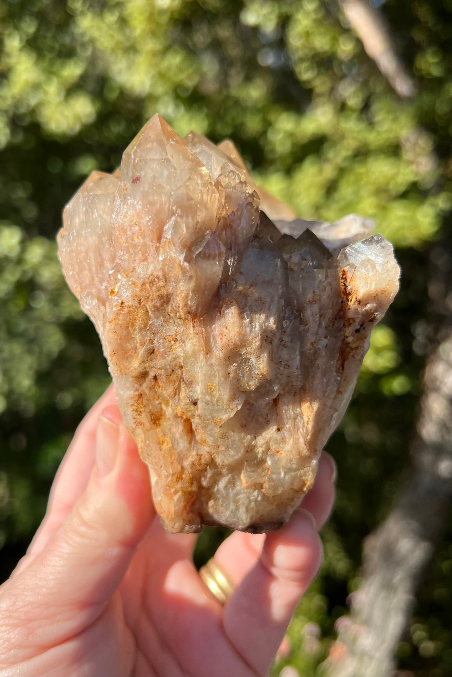Kundalini Smoky Citrine Cluster