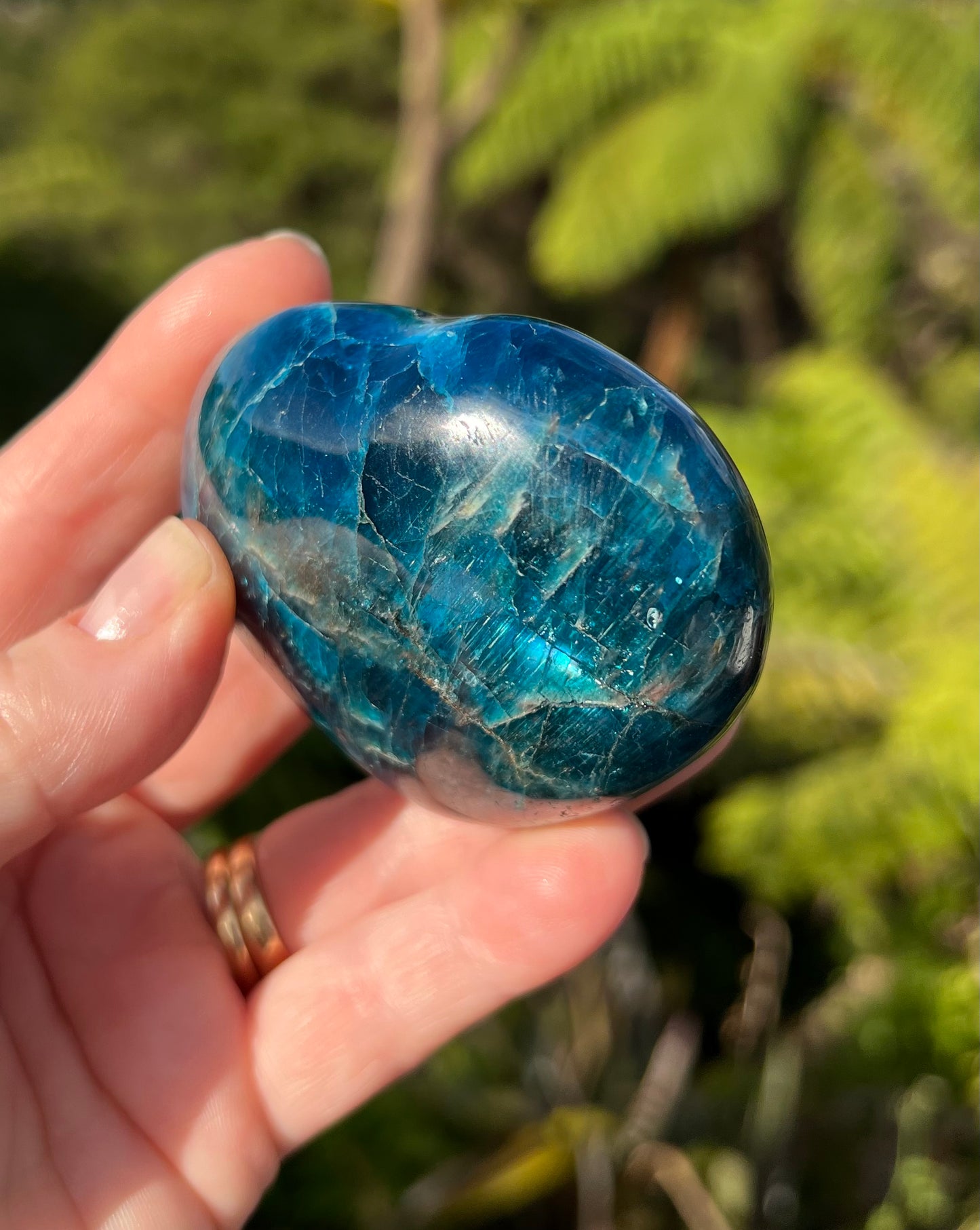 Apatite Heart