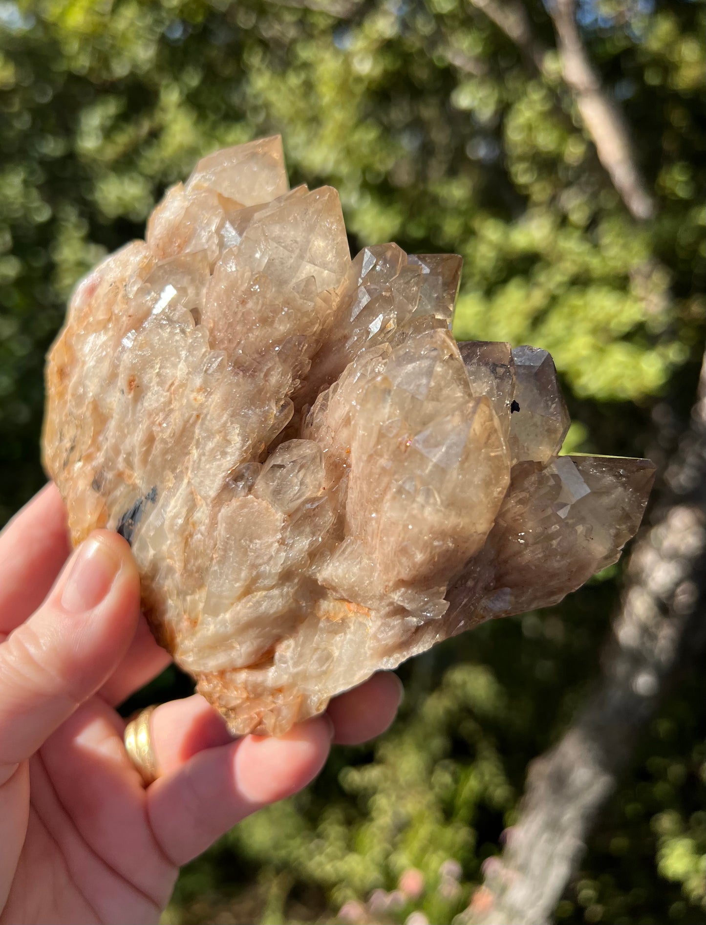 Kundalini Smoky Citrine Cluster