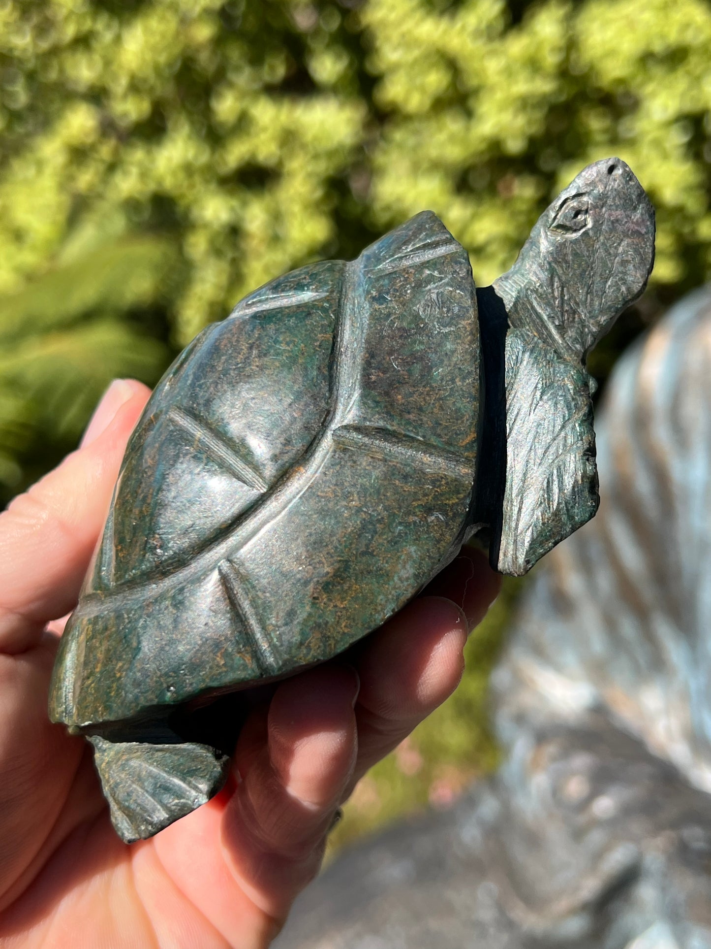 Verdite Turtle