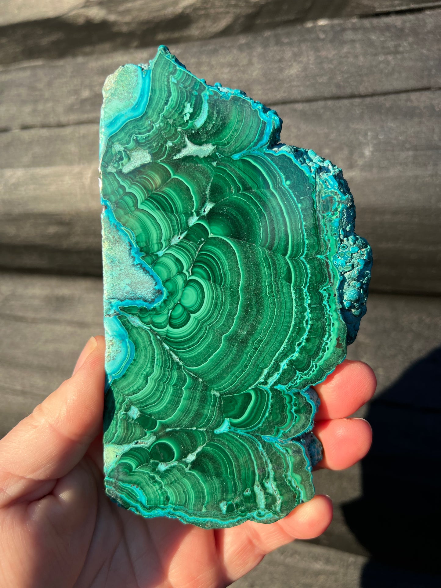 Malachite with Chrysocolla Slice