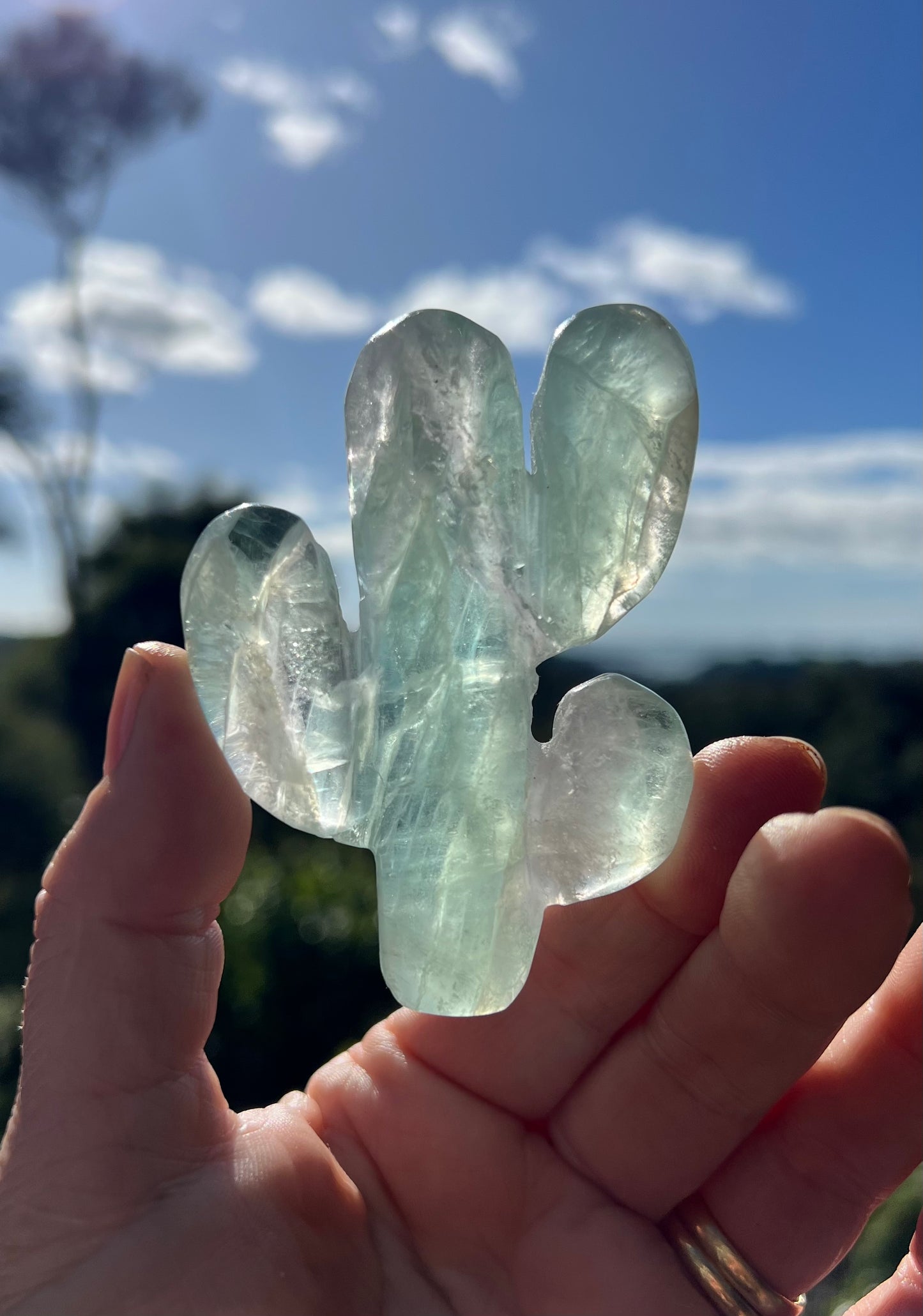 Green Fluorite Cactus