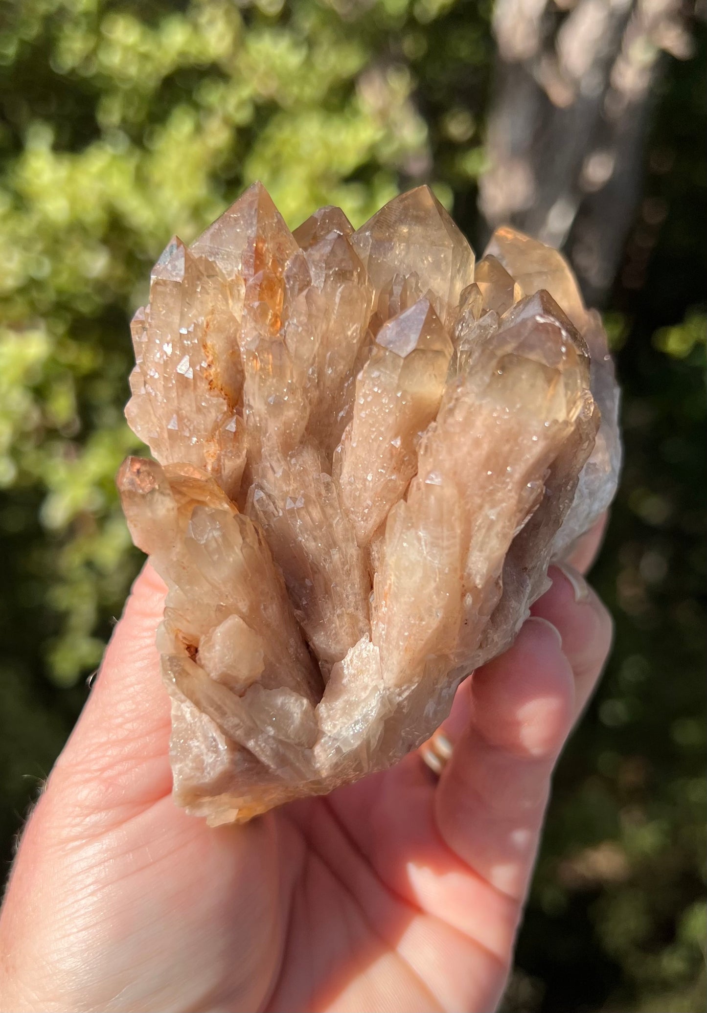 Kundalini Smoky Citrine Cluster