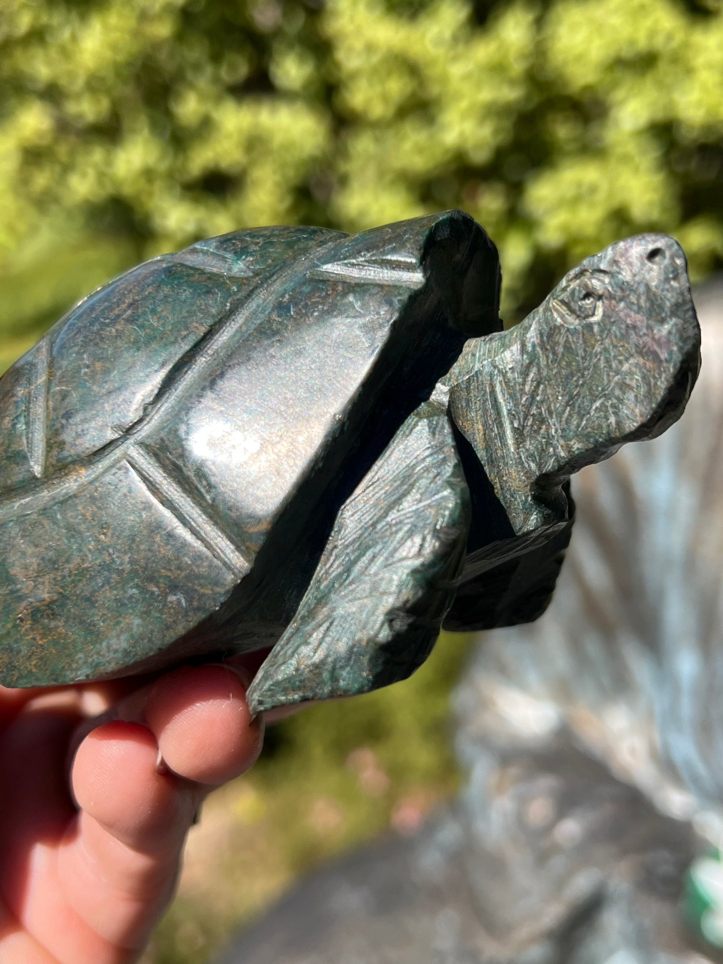 Verdite Turtle