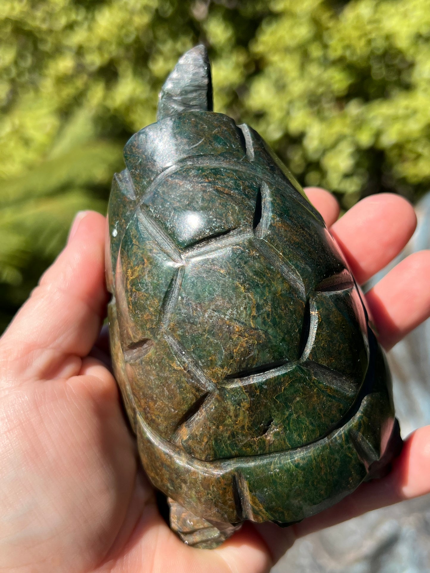 Verdite Turtle