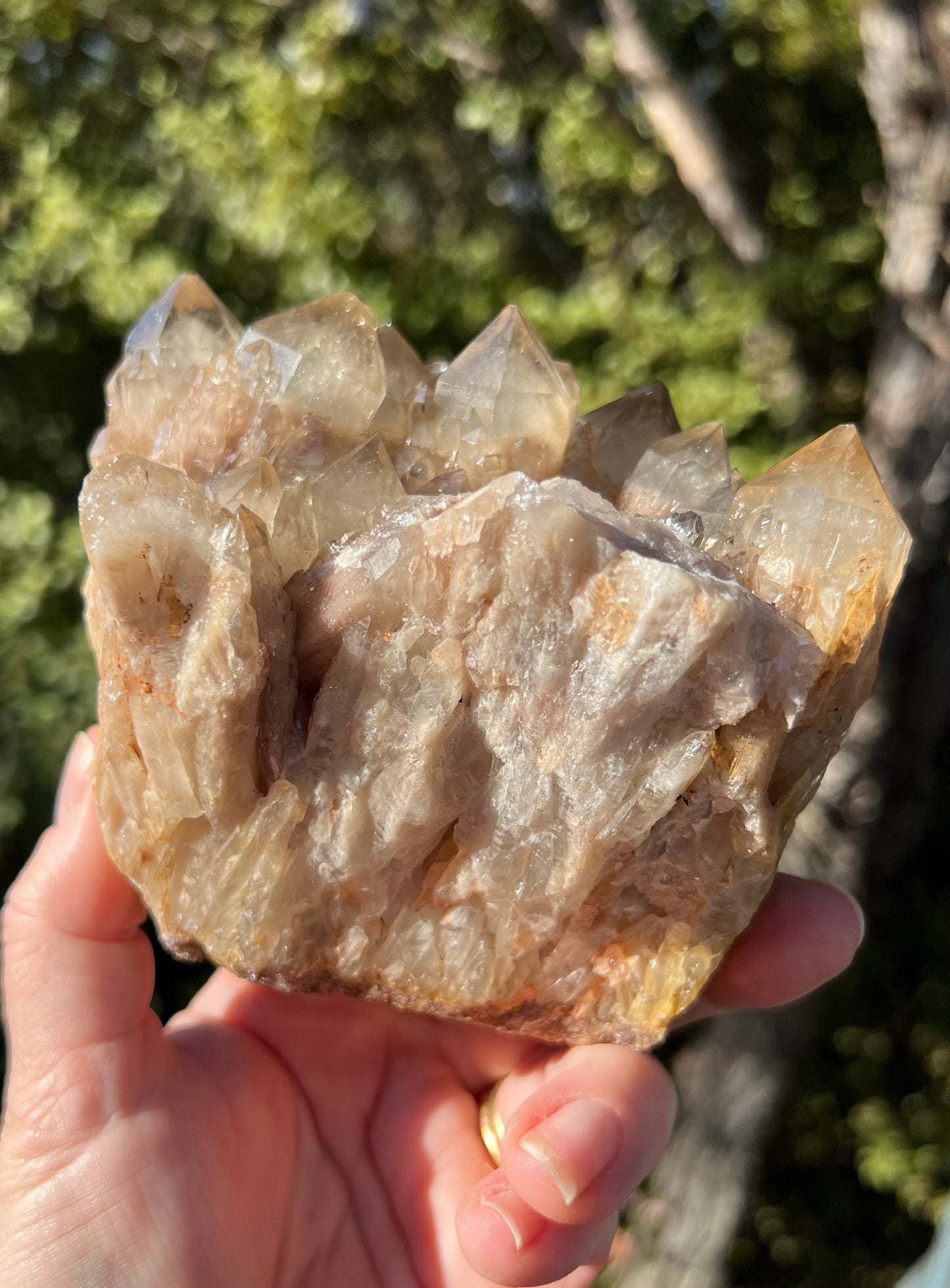 Kundalini Smoky Citrine Cluster