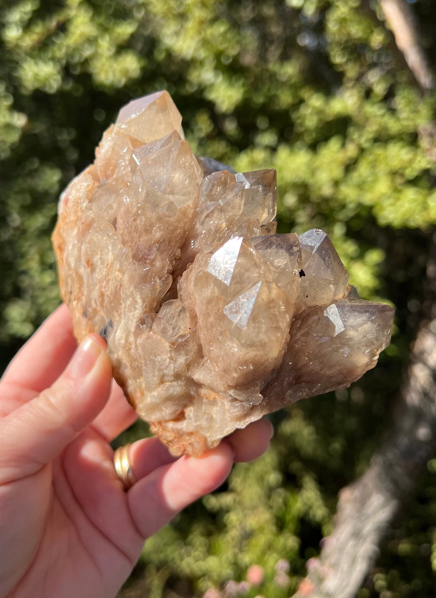 Kundalini Smoky Citrine Cluster