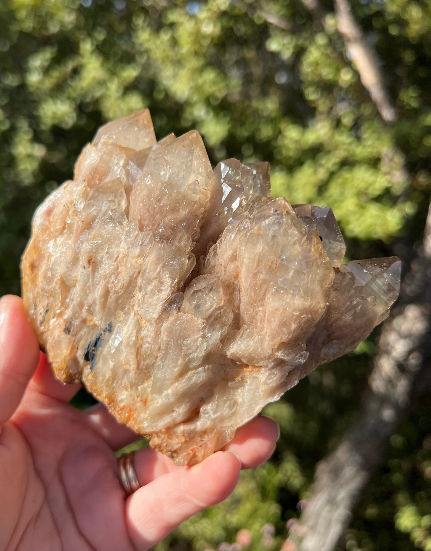 Kundalini Smoky Citrine Cluster