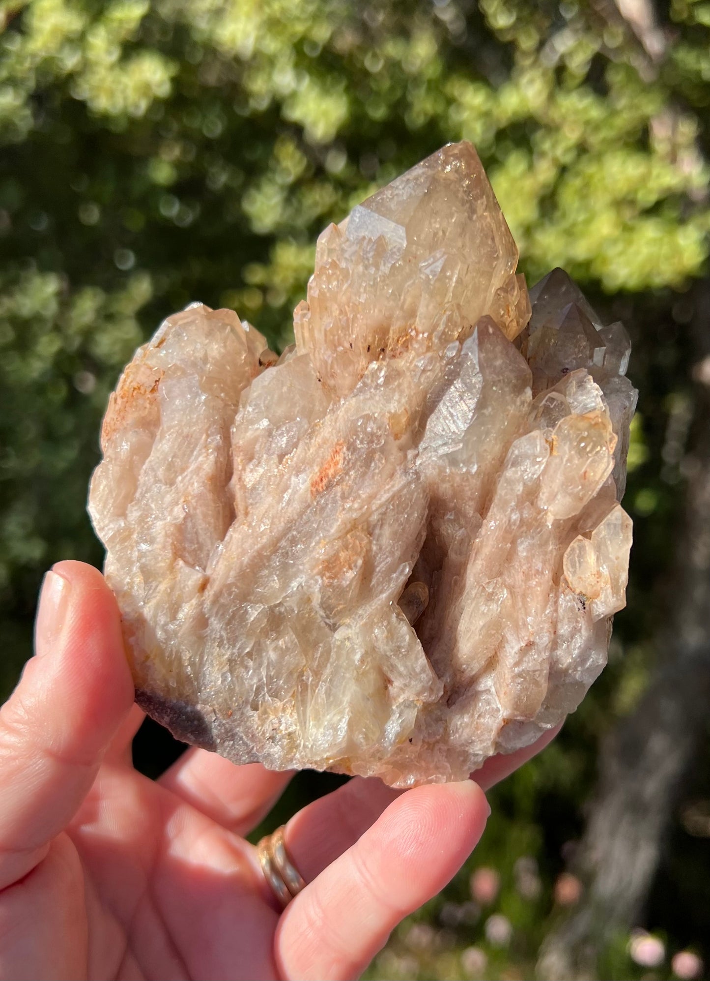 Kundalini Smoky Citrine Cluster