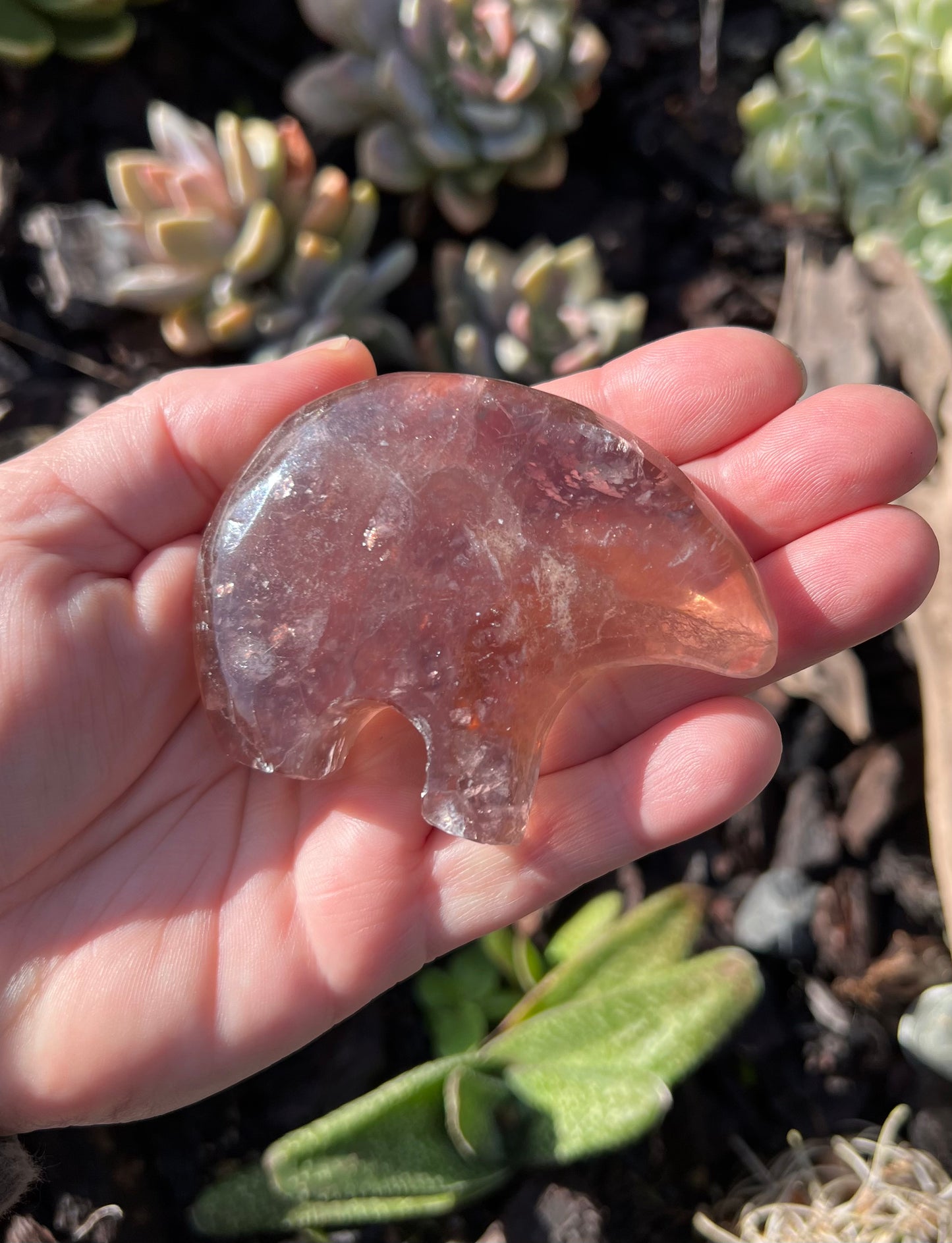 Fluorite Zuni Bear