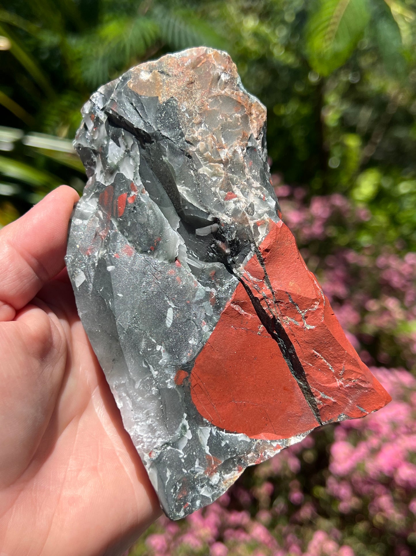 African Bloodstone Raw