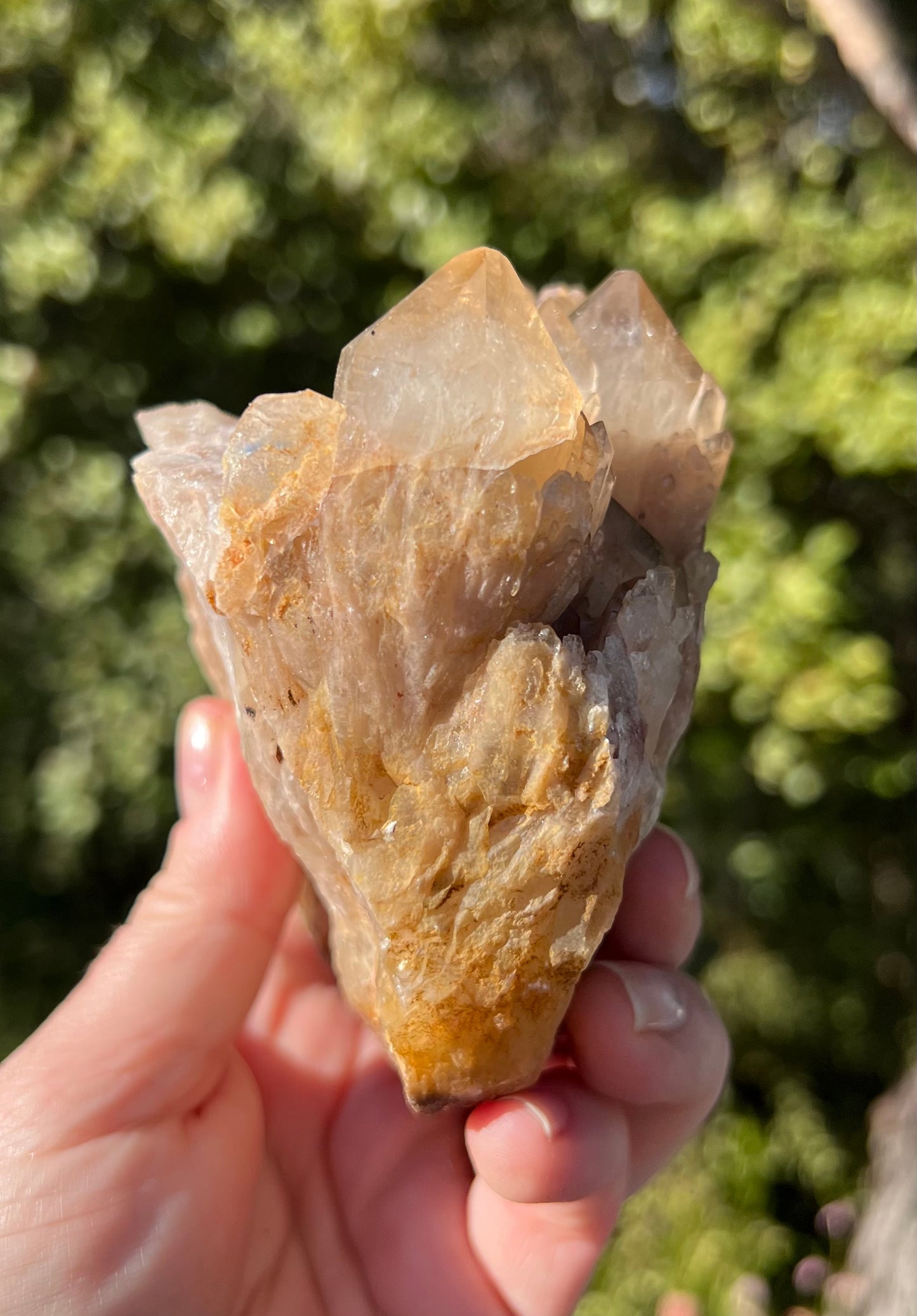 Kundalini Smoky Citrine Cluster