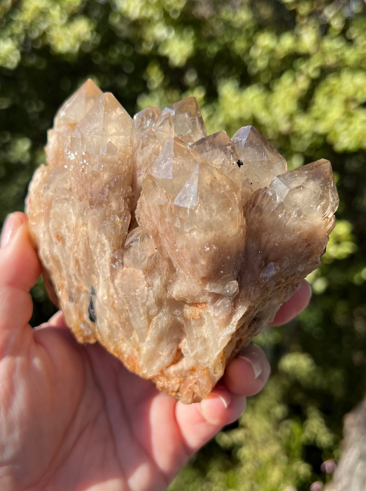 Kundalini Smoky Citrine Cluster