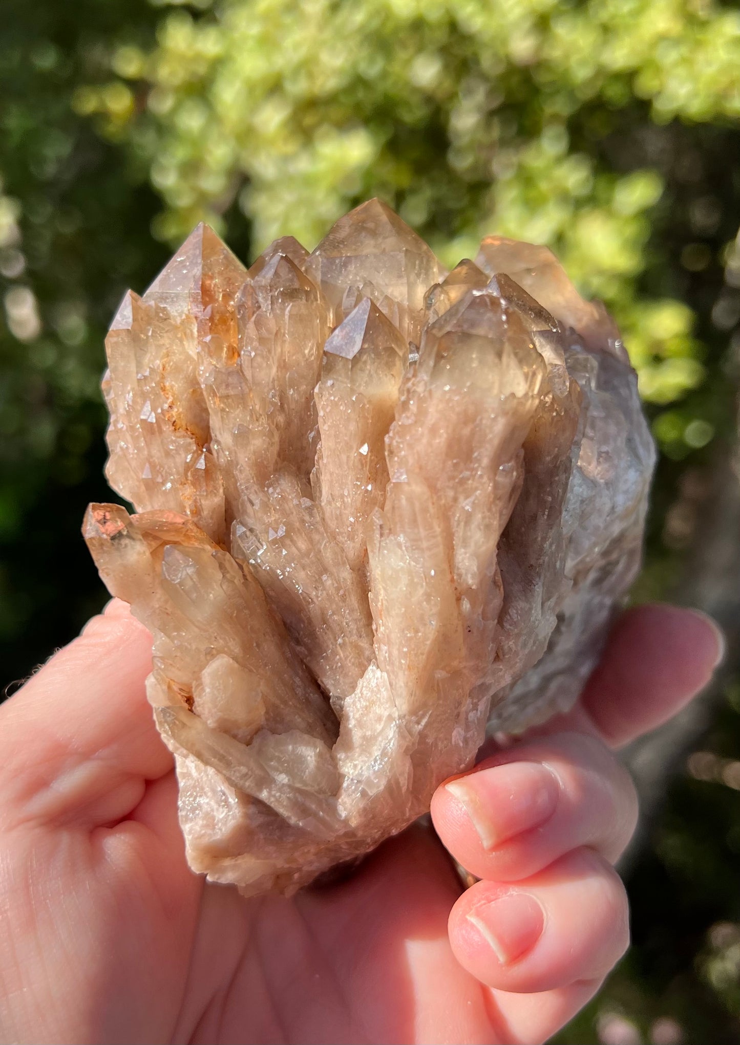 Kundalini Smoky Citrine Cluster