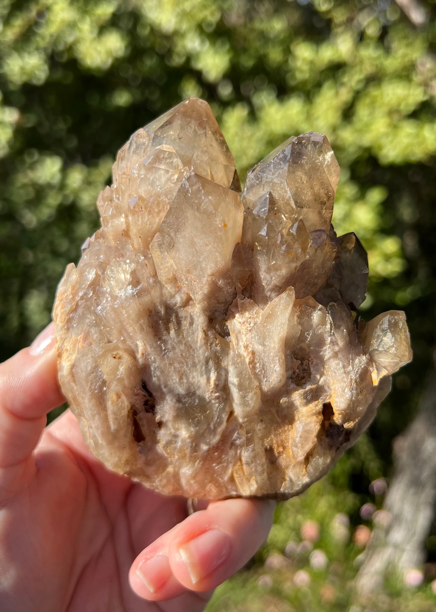 Kundalini Smoky Citrine Cluster