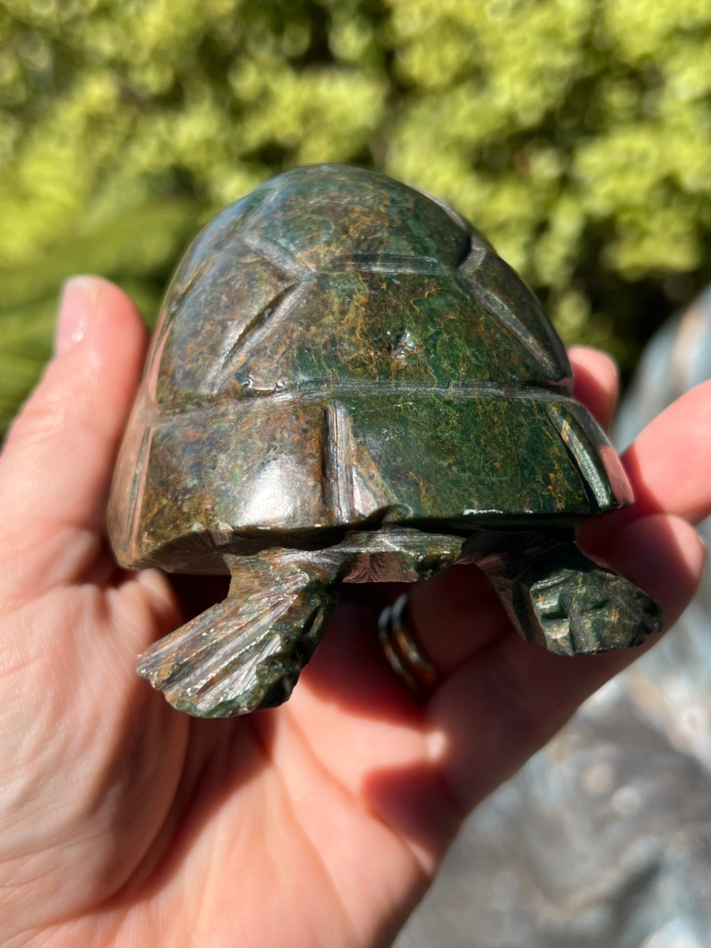 Verdite Turtle