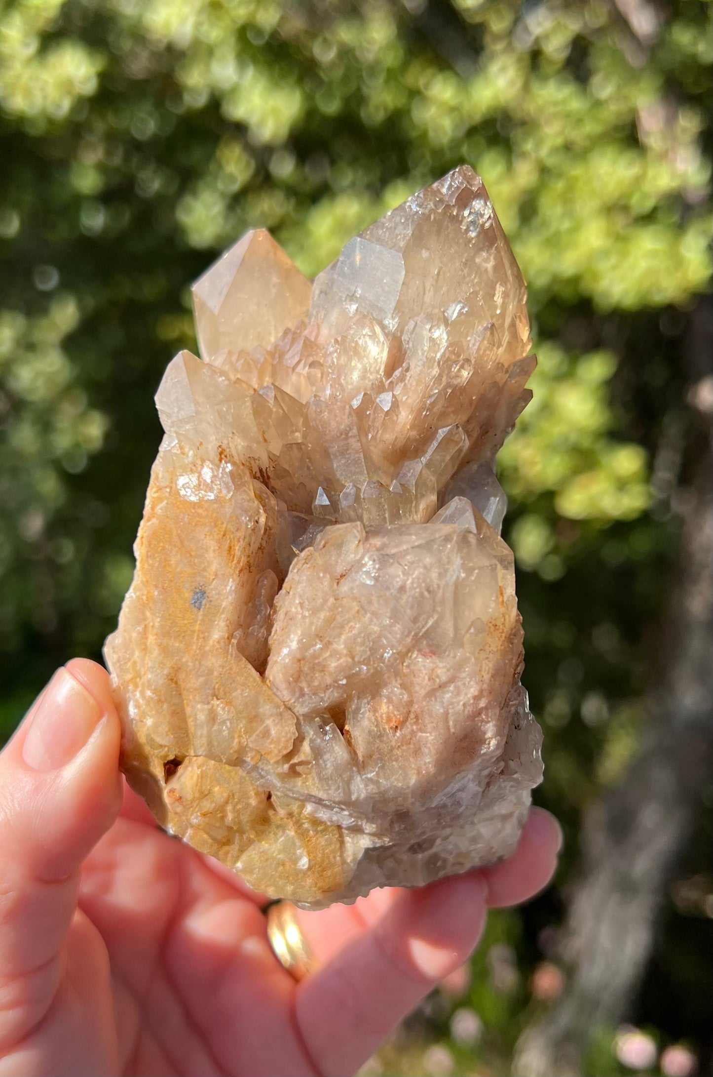 Kundalini Smoky Citrine Cluster