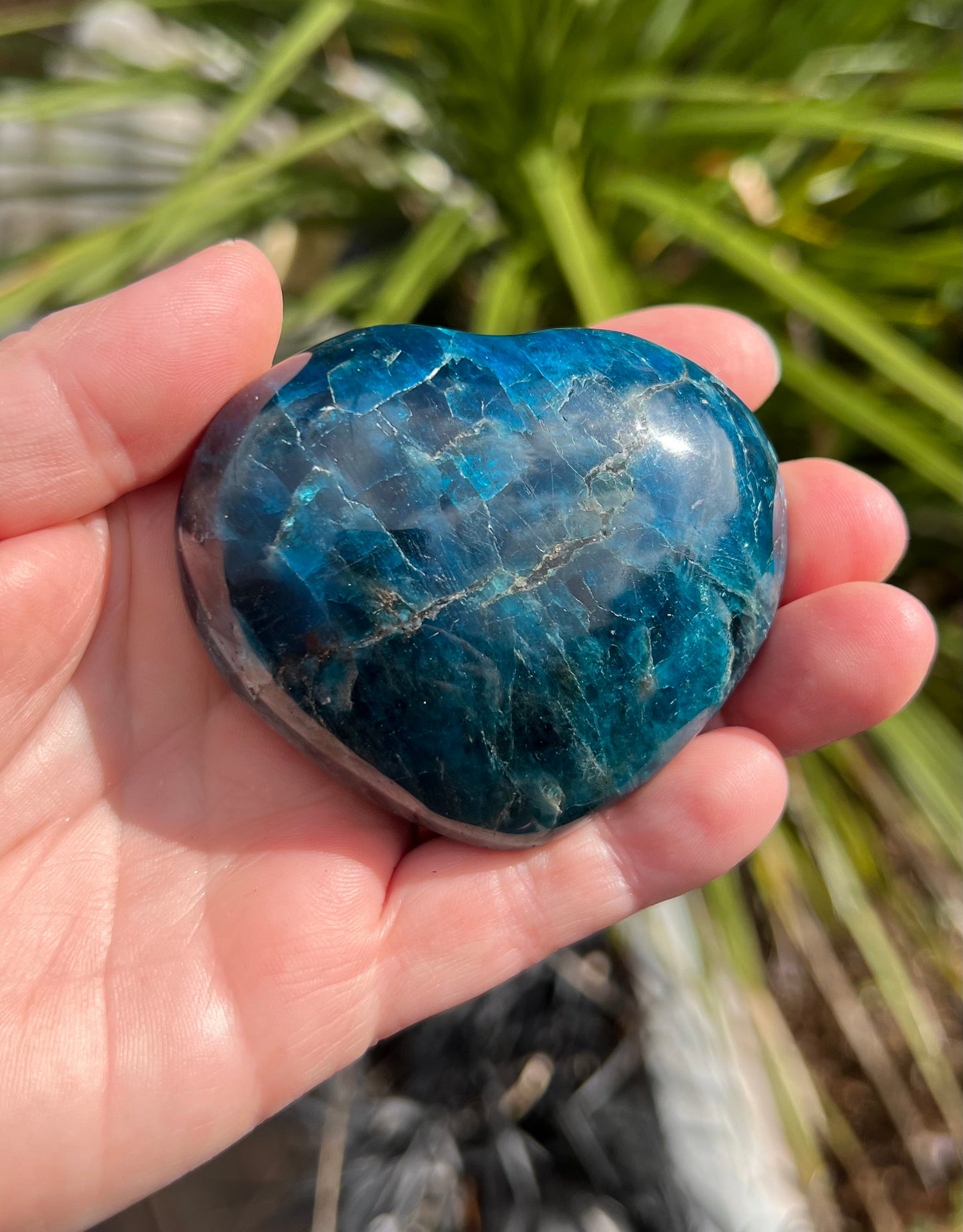 Apatite Heart