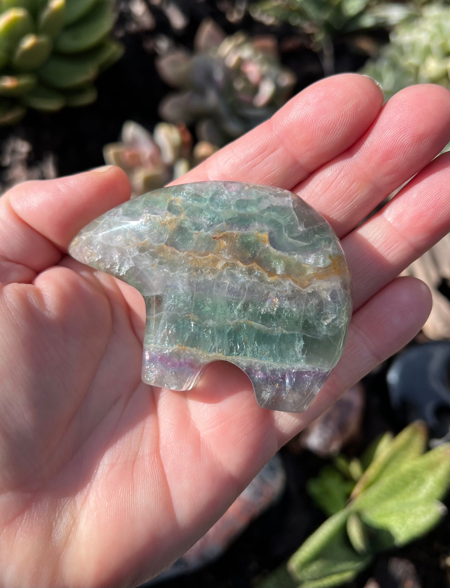 Rainbow Fluorite Zuni Bear