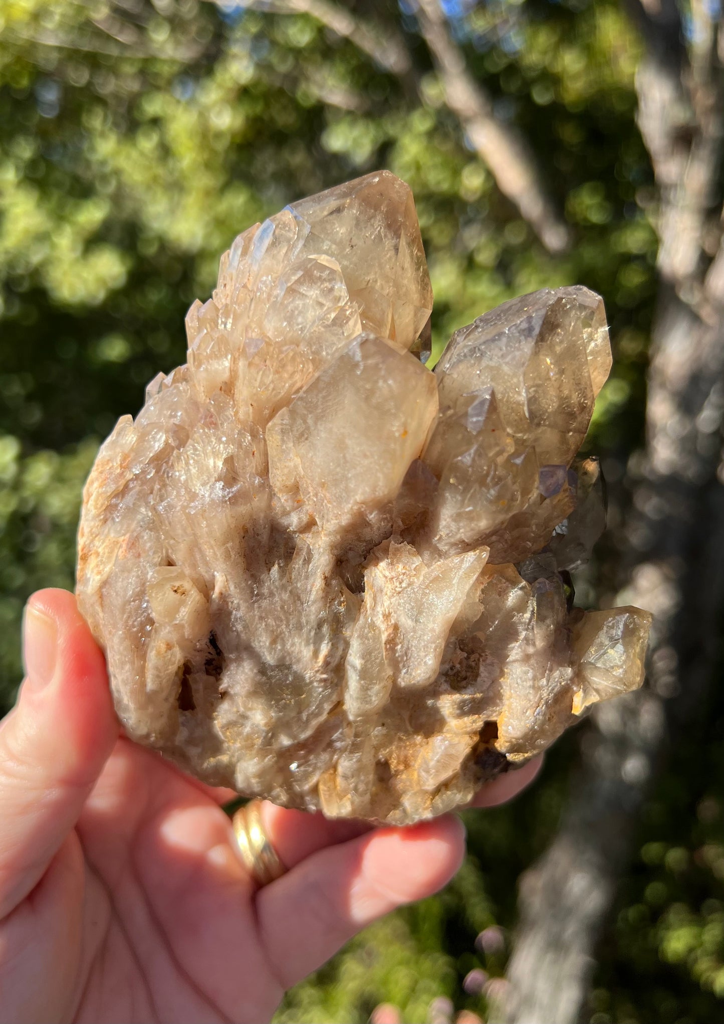 Kundalini Smoky Citrine Cluster