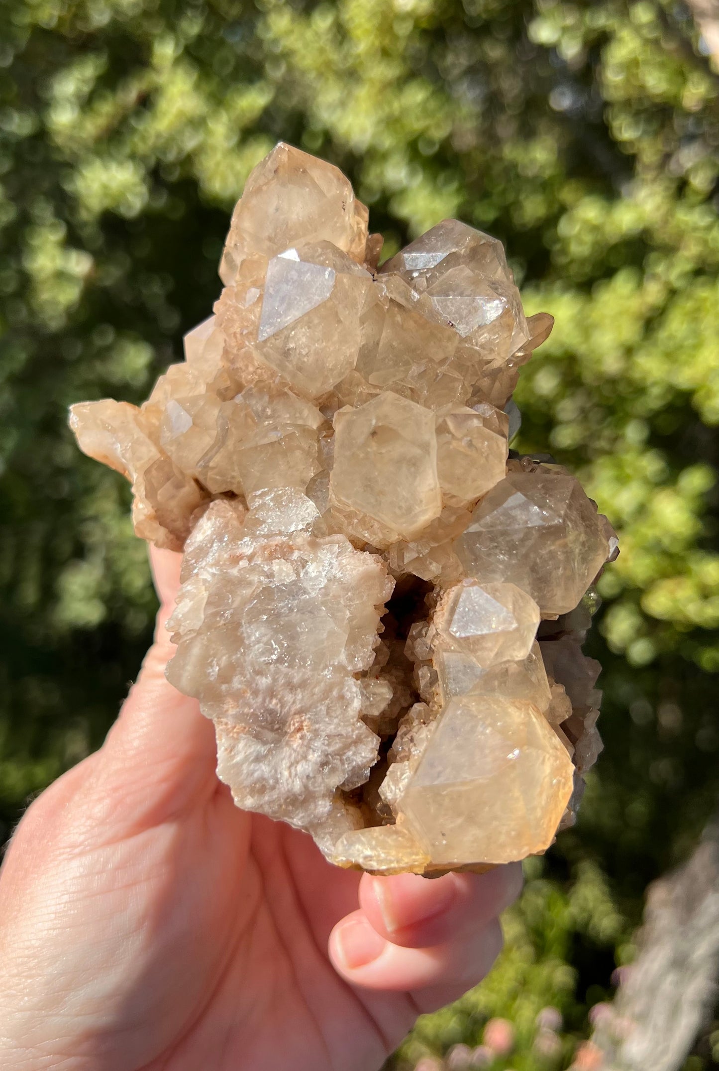 Kundalini Smoky Citrine Cluster