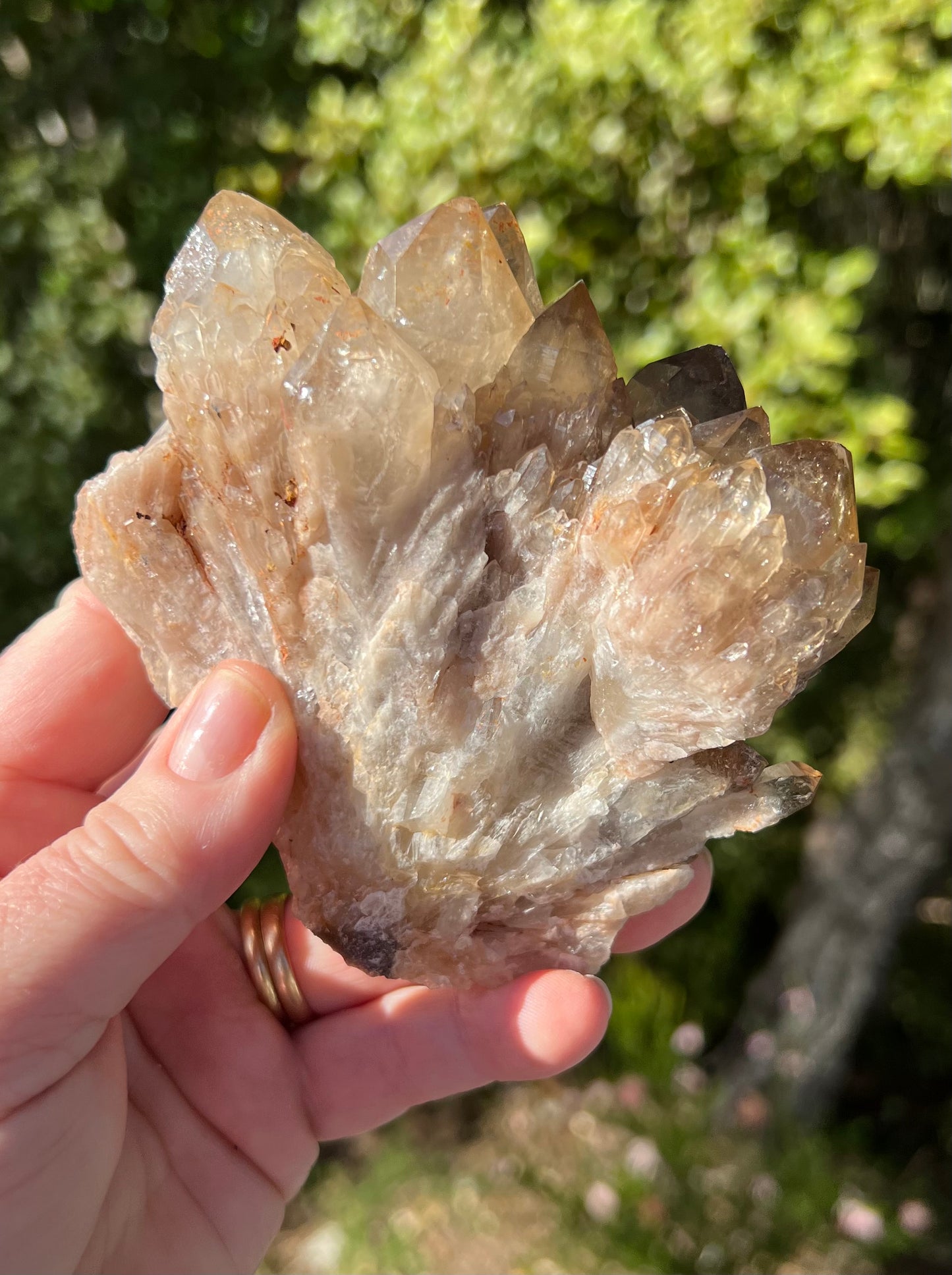 Kundalini Smoky Citrine Cluster