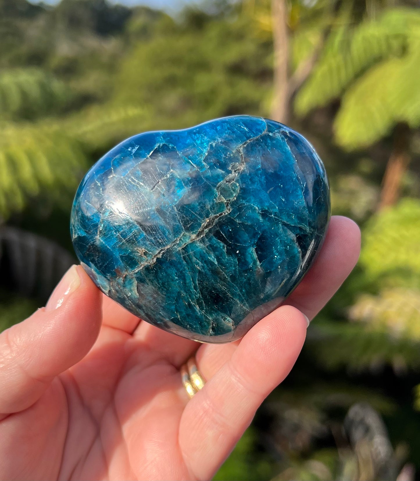 Apatite Heart