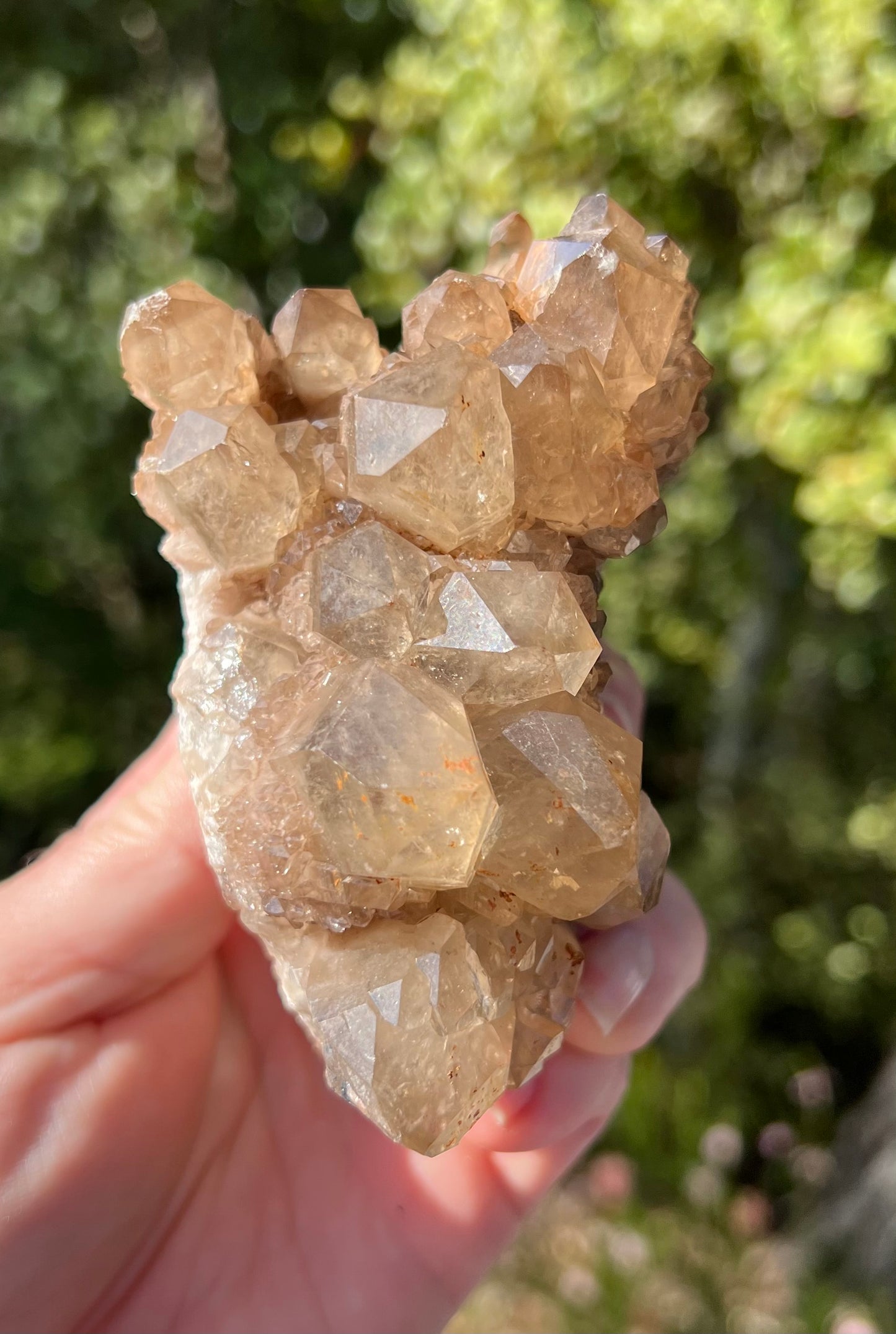 Kundalini Smoky Citrine Cluster