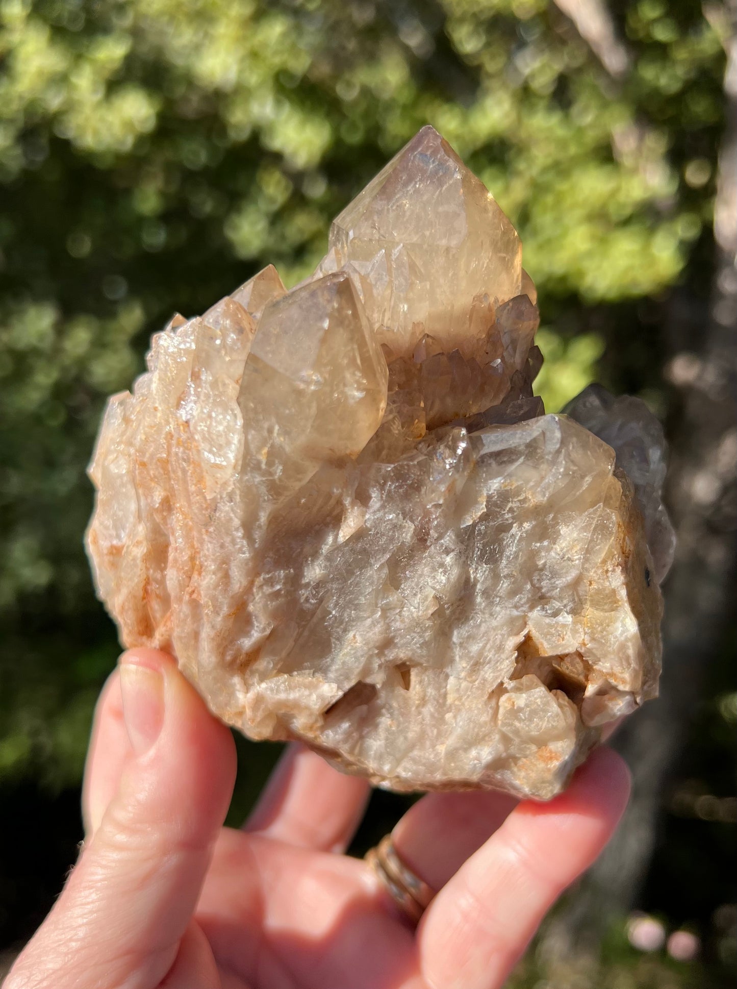 Kundalini Smoky Citrine Cluster