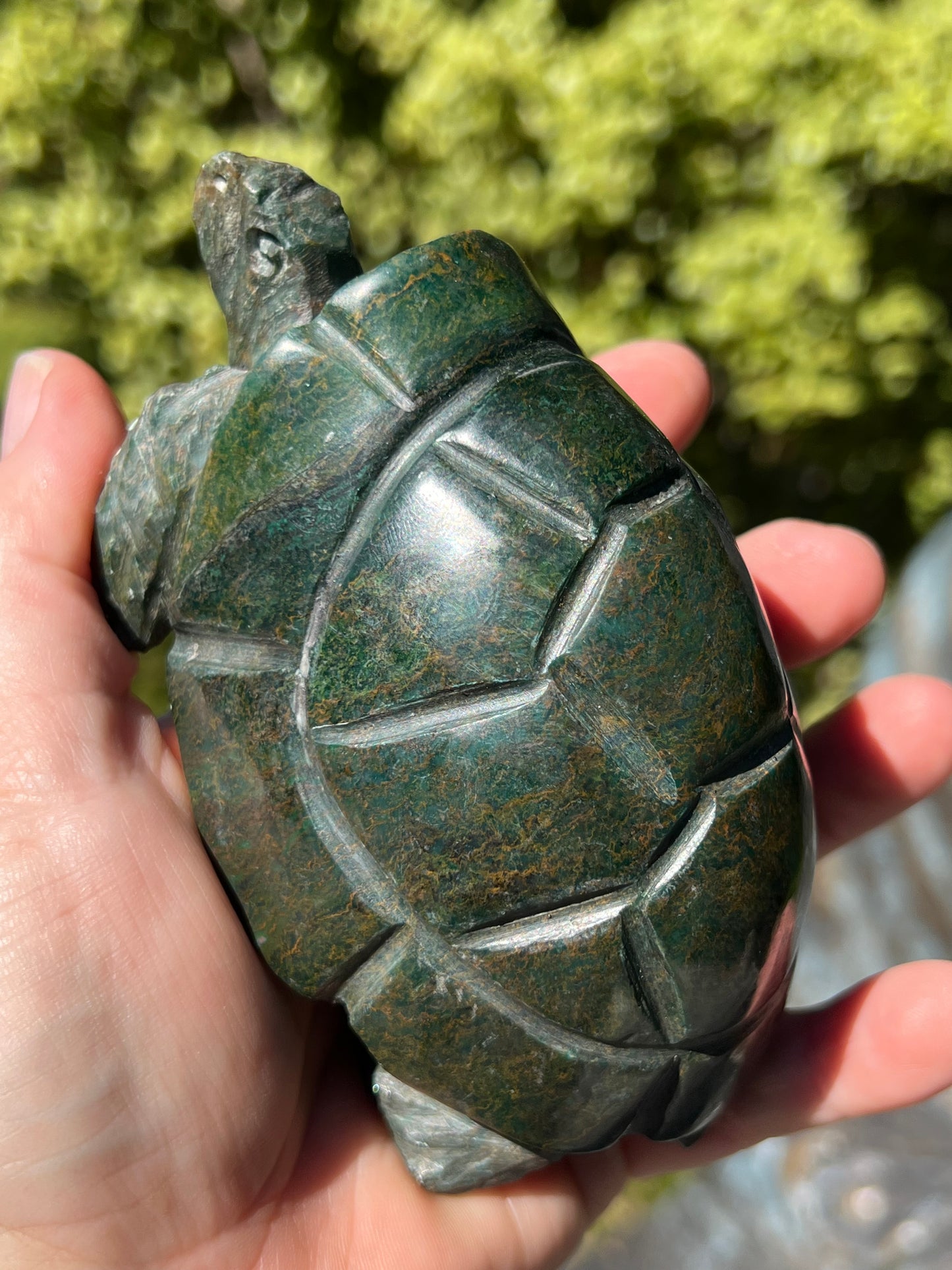 Verdite Turtle