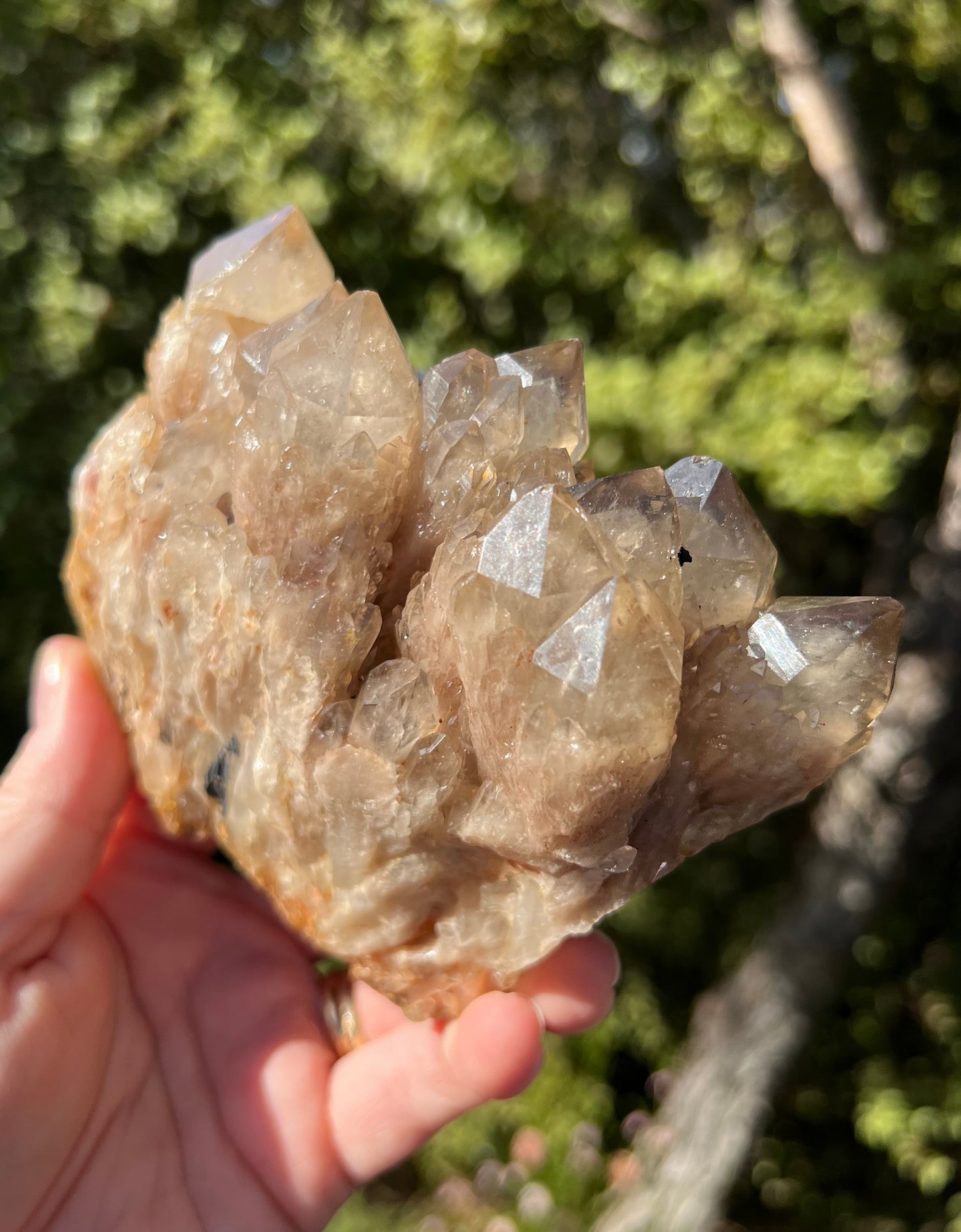 Kundalini Smoky Citrine Cluster