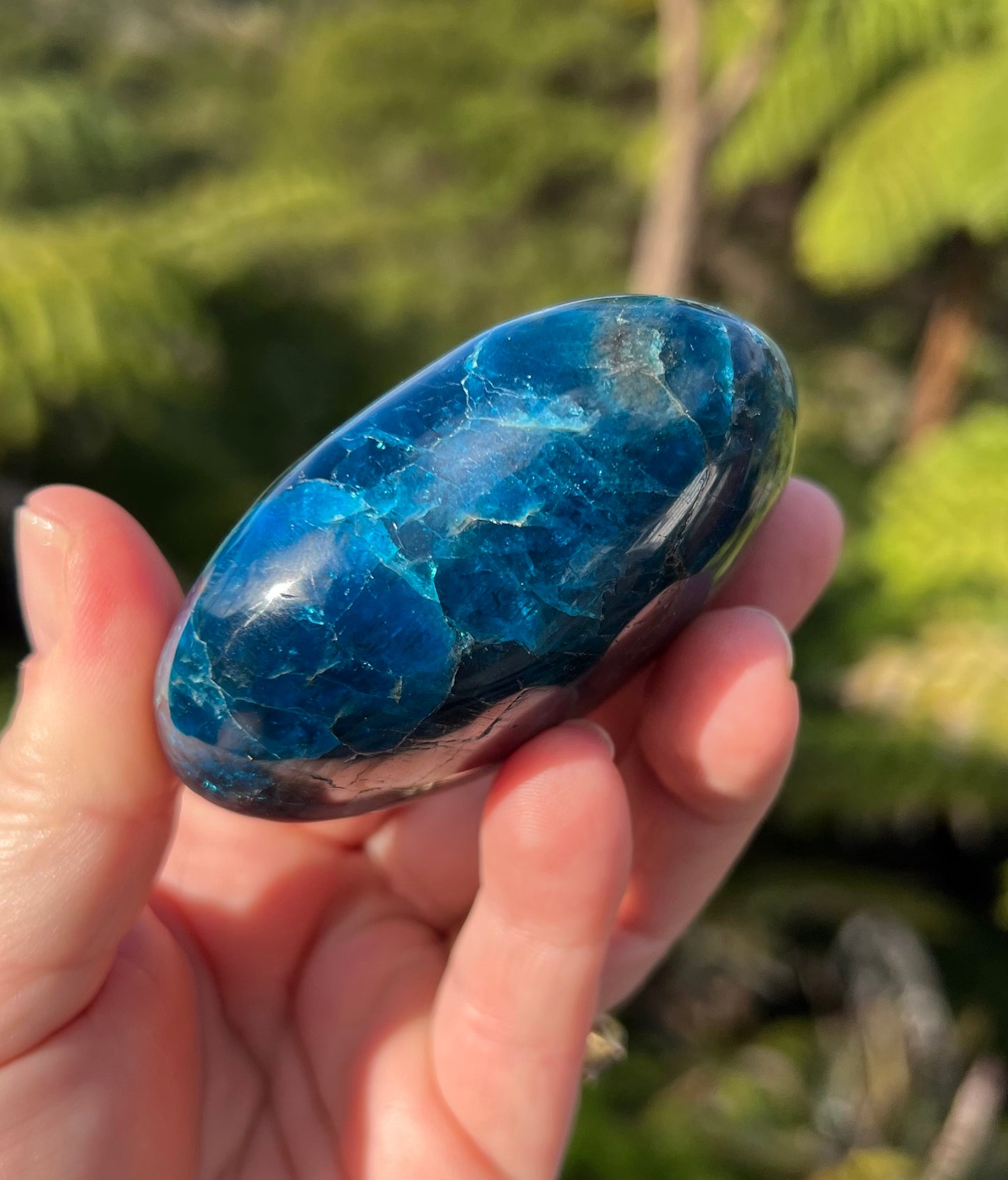 Apatite Heart