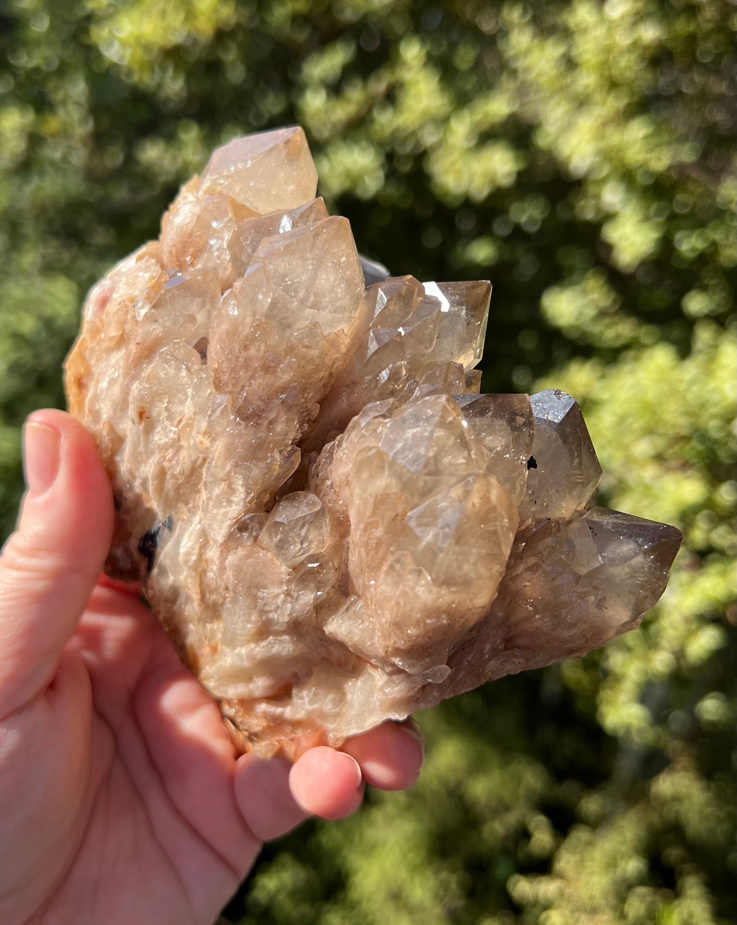 Kundalini Smoky Citrine Cluster