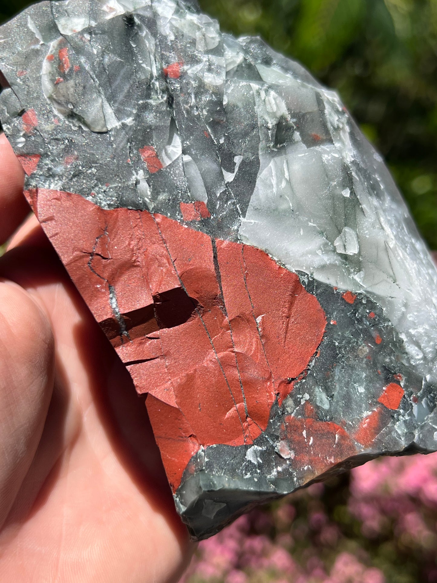 African Bloodstone Raw