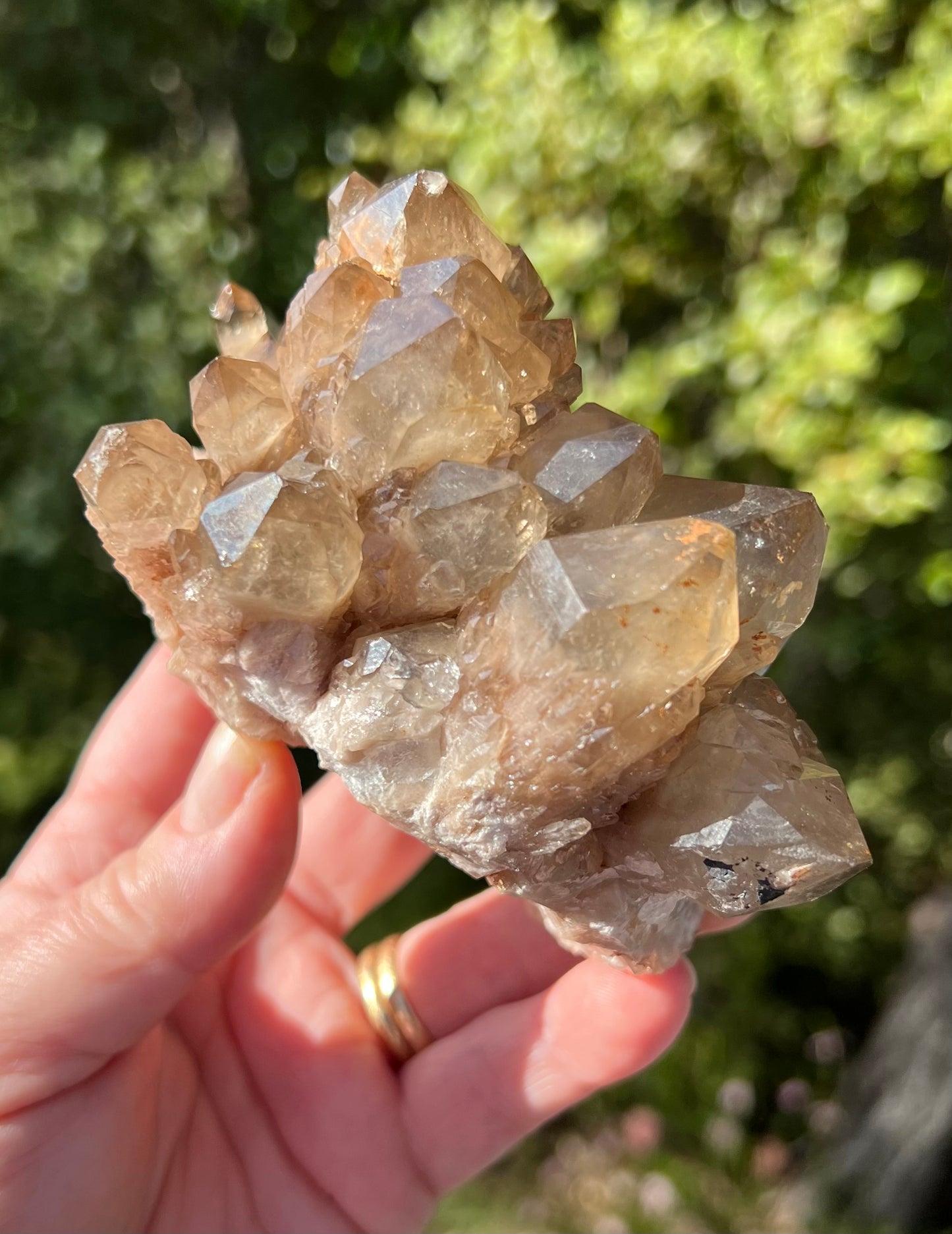 Kundalini Smoky Citrine Cluster