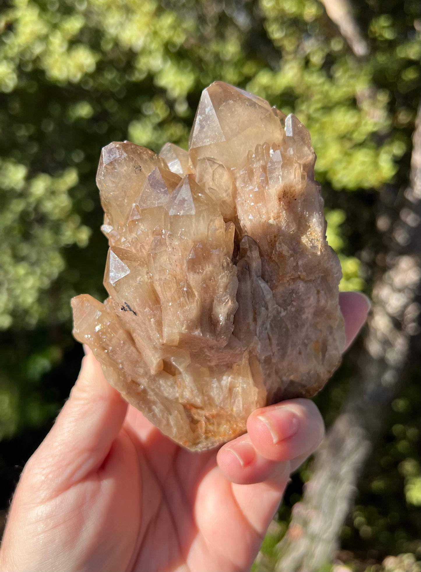 Kundalini Smoky Citrine Cluster