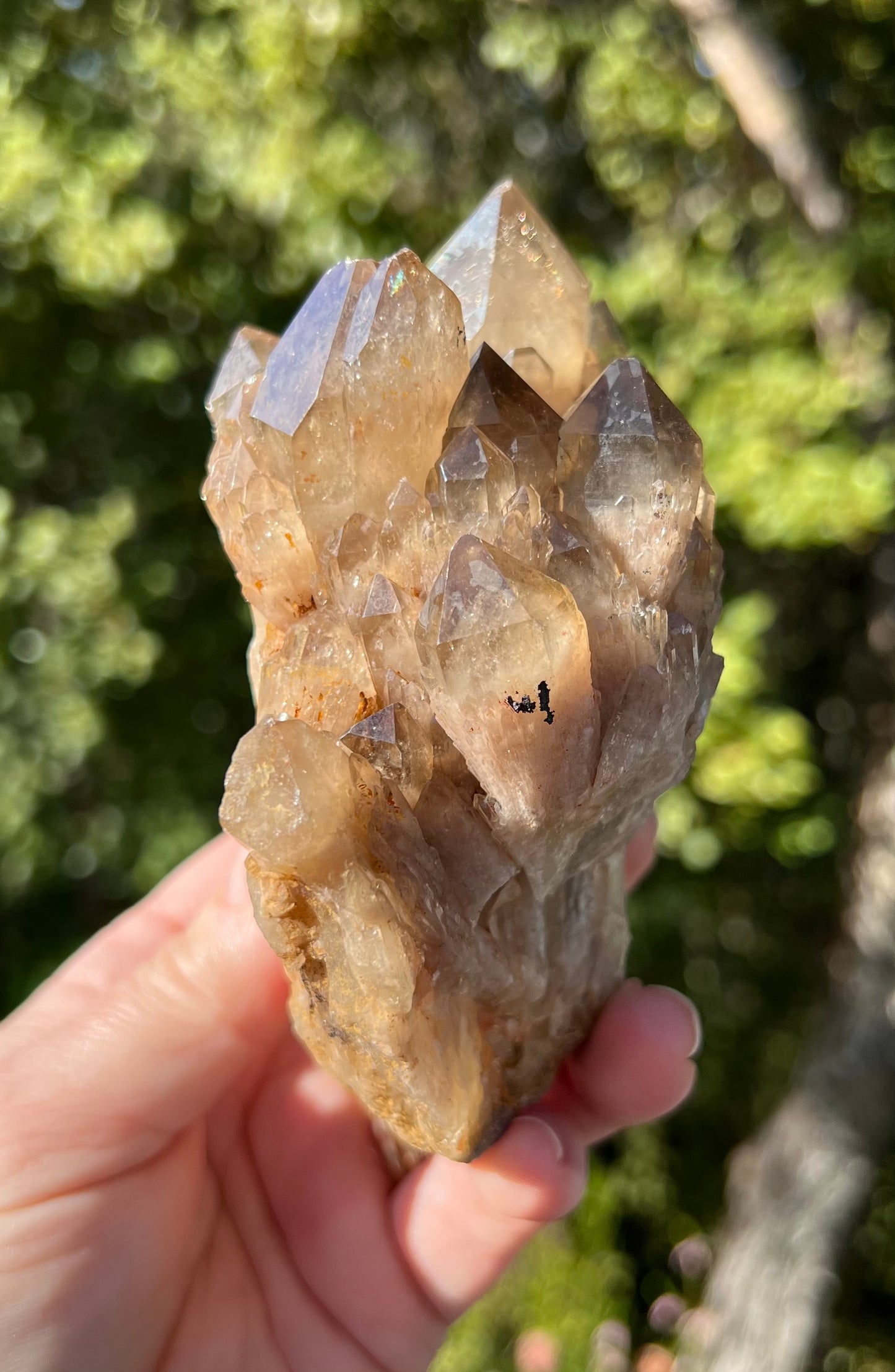 Kundalini Smoky Citrine Cluster