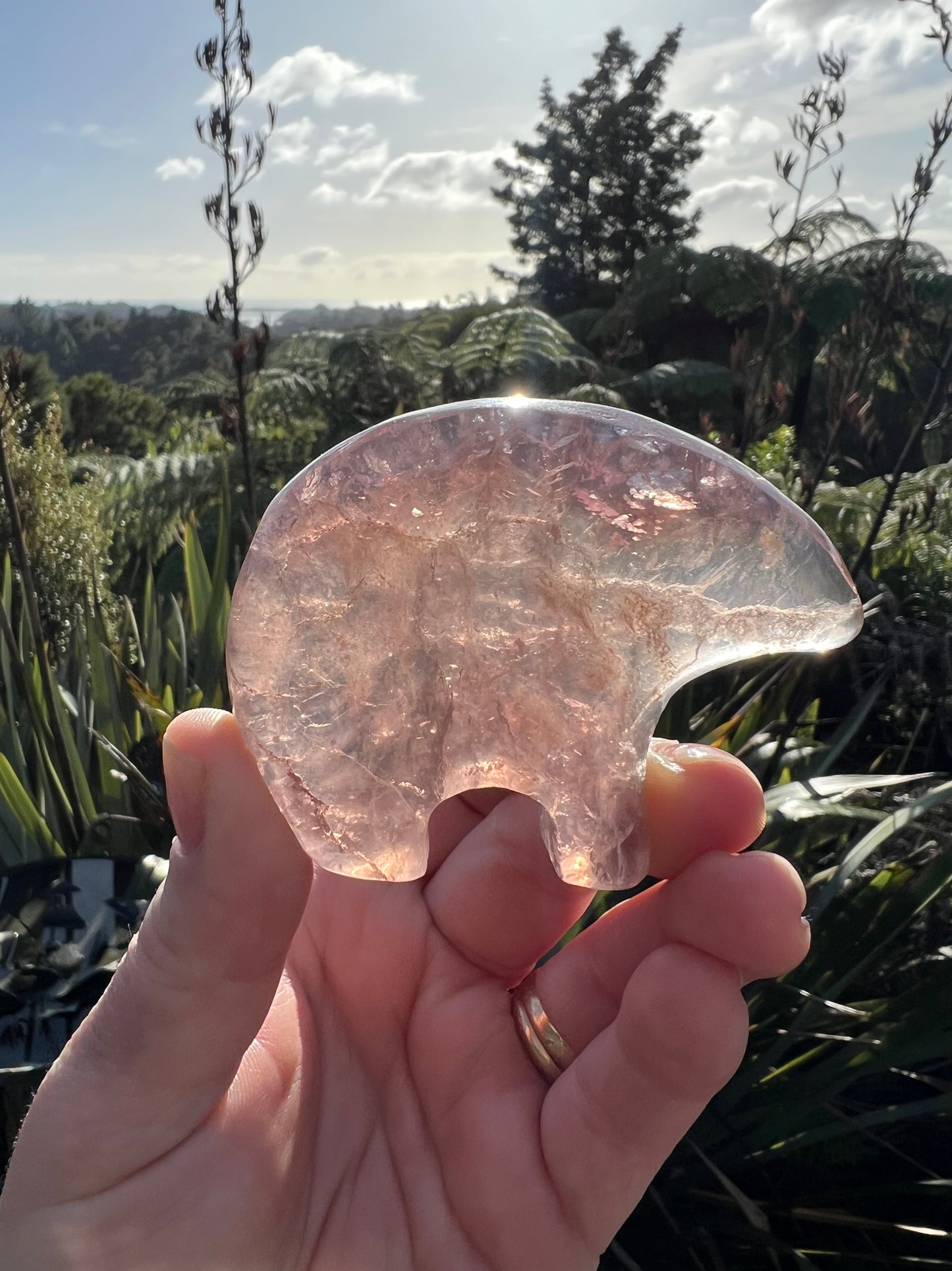 Fluorite Zuni Bear