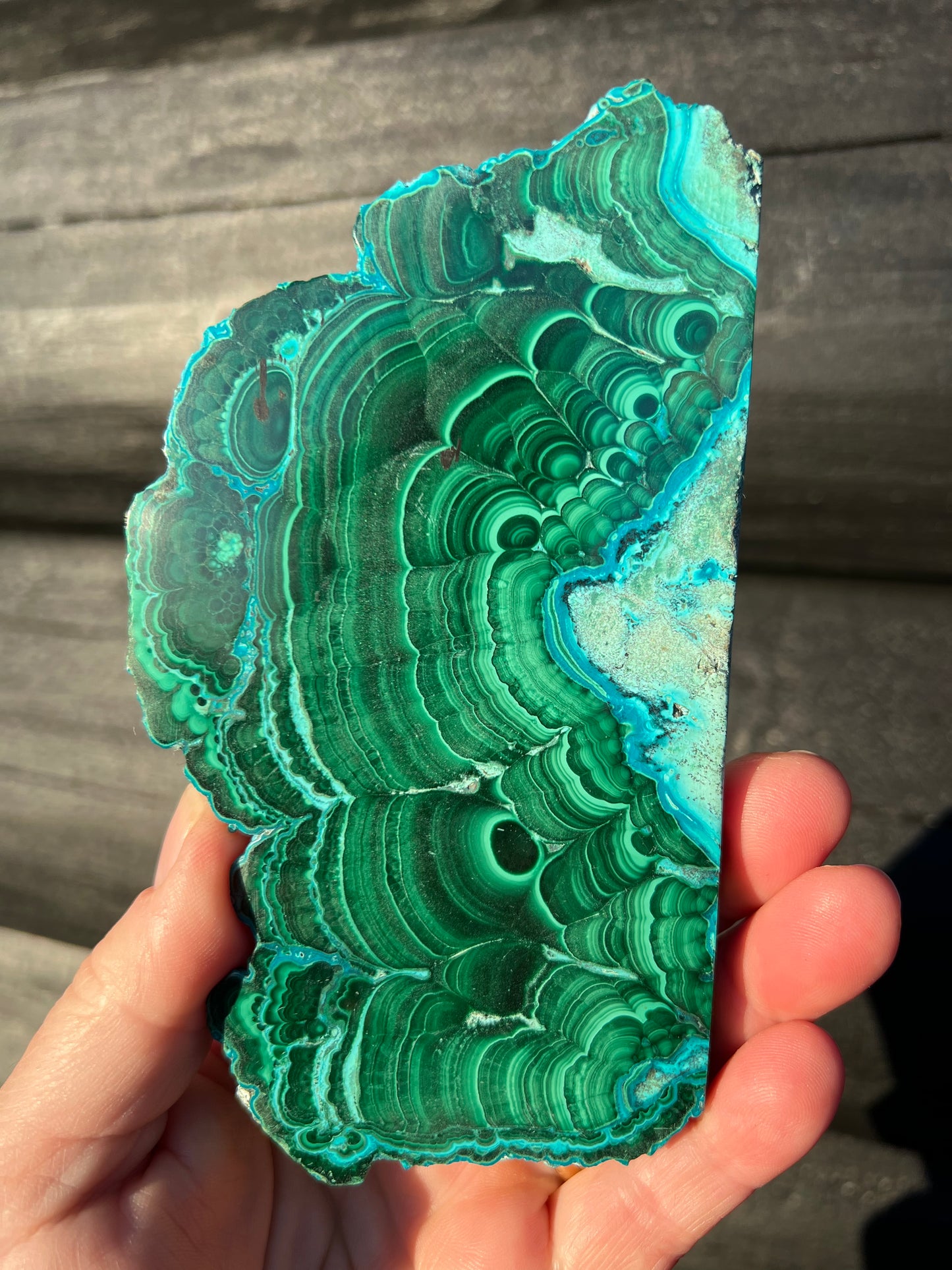 Malachite with Chrysocolla Slice