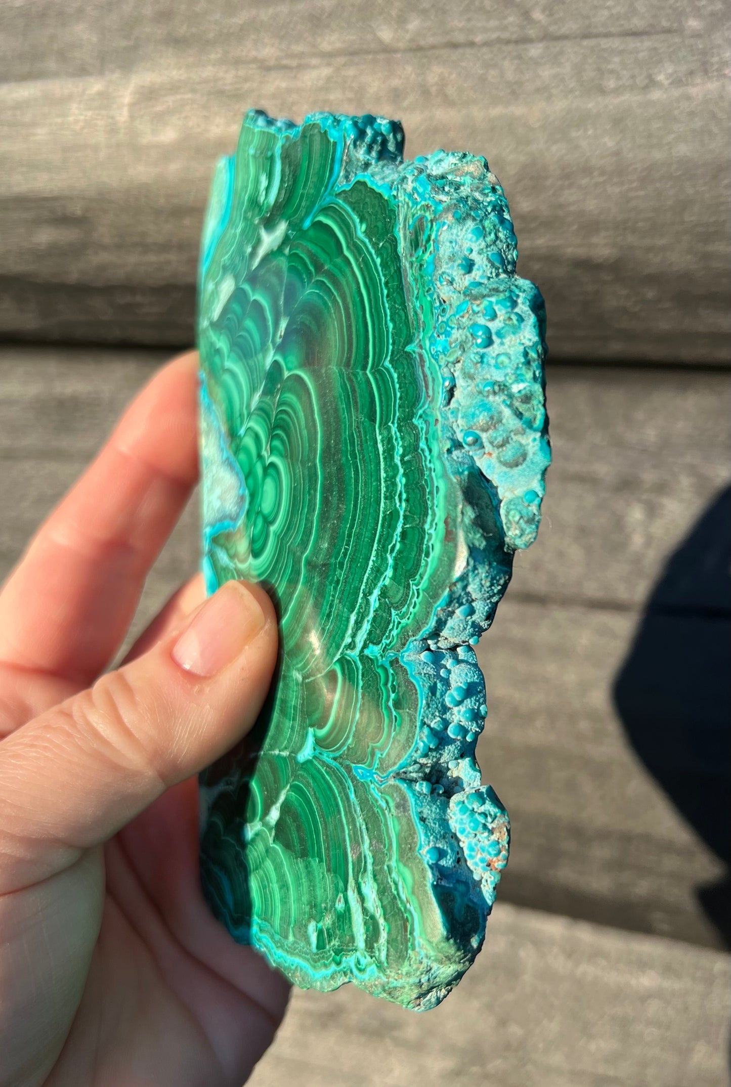 Malachite with Chrysocolla Slice