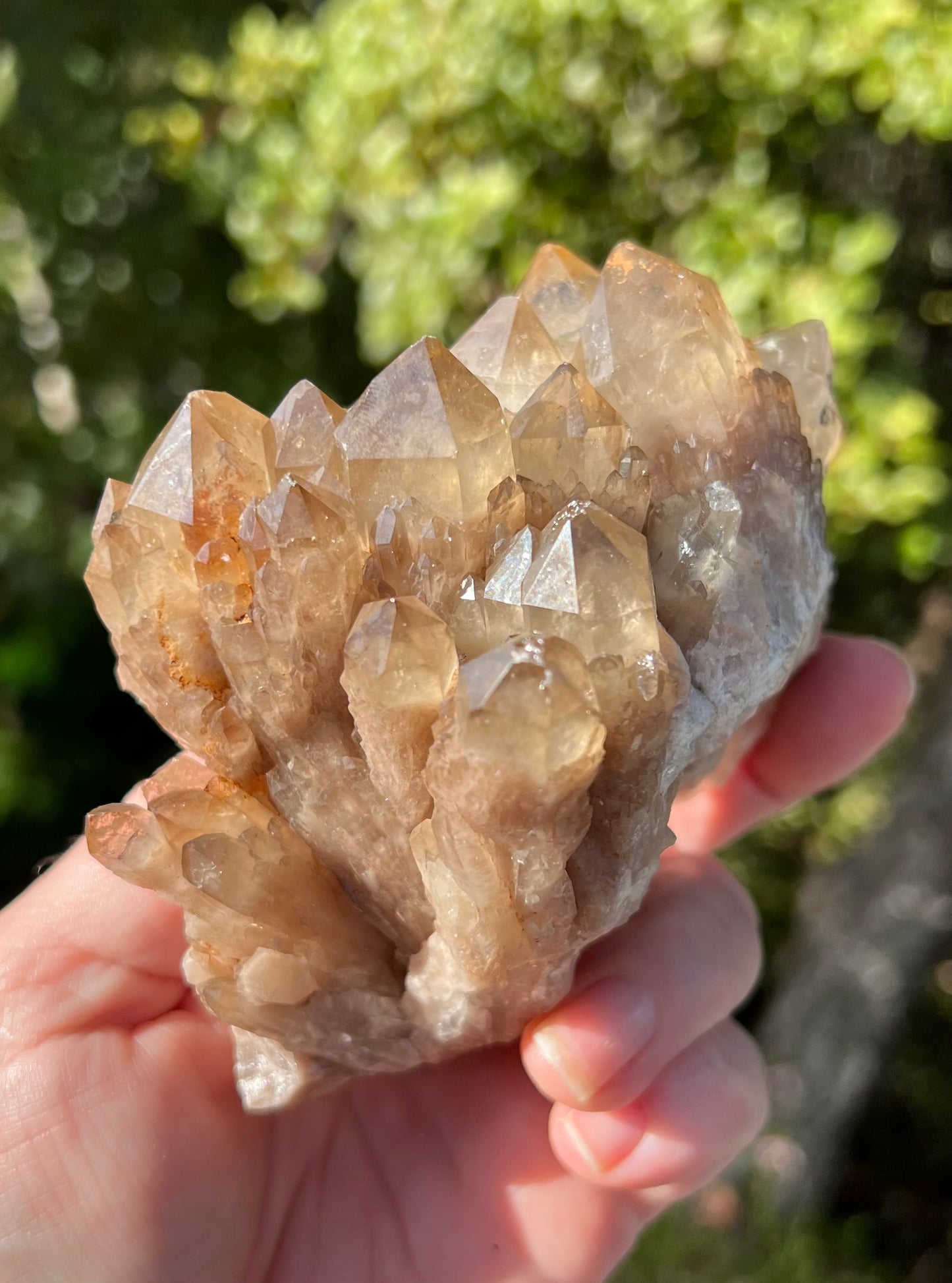 Kundalini Smoky Citrine Cluster