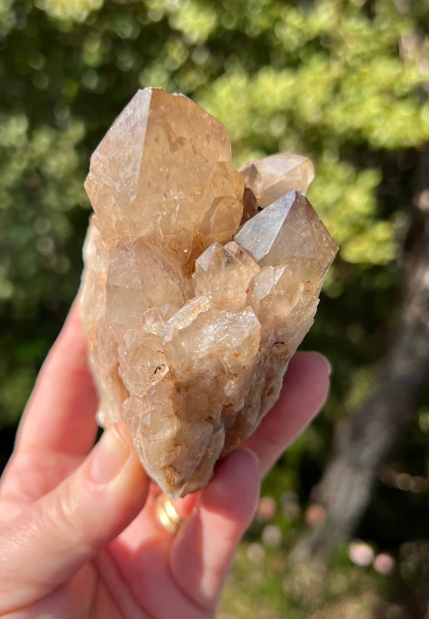 Kundalini Smoky Citrine Cluster