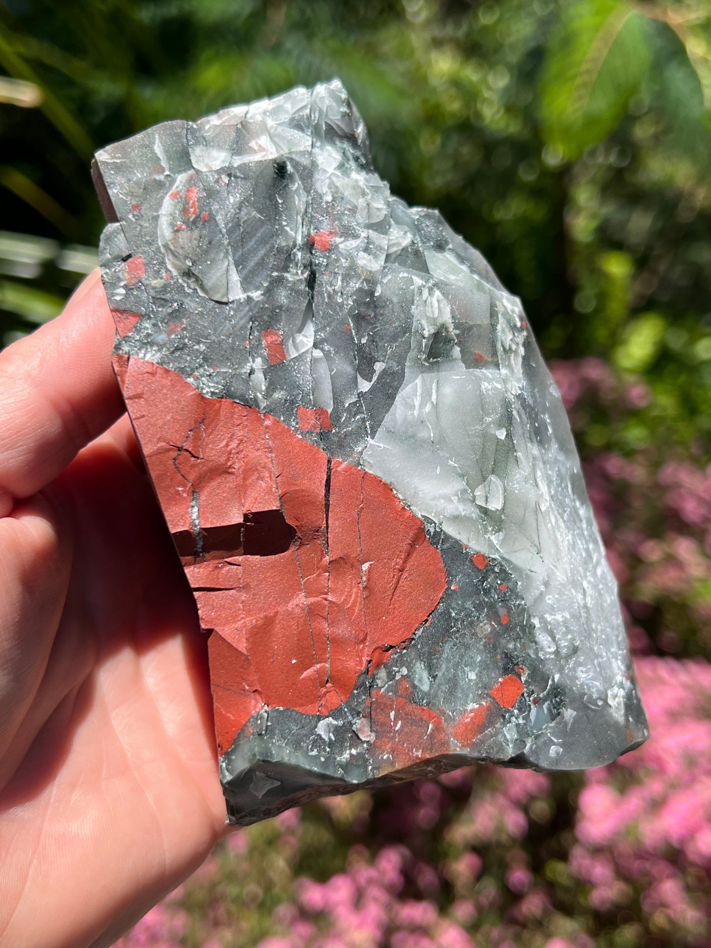 African Bloodstone Raw