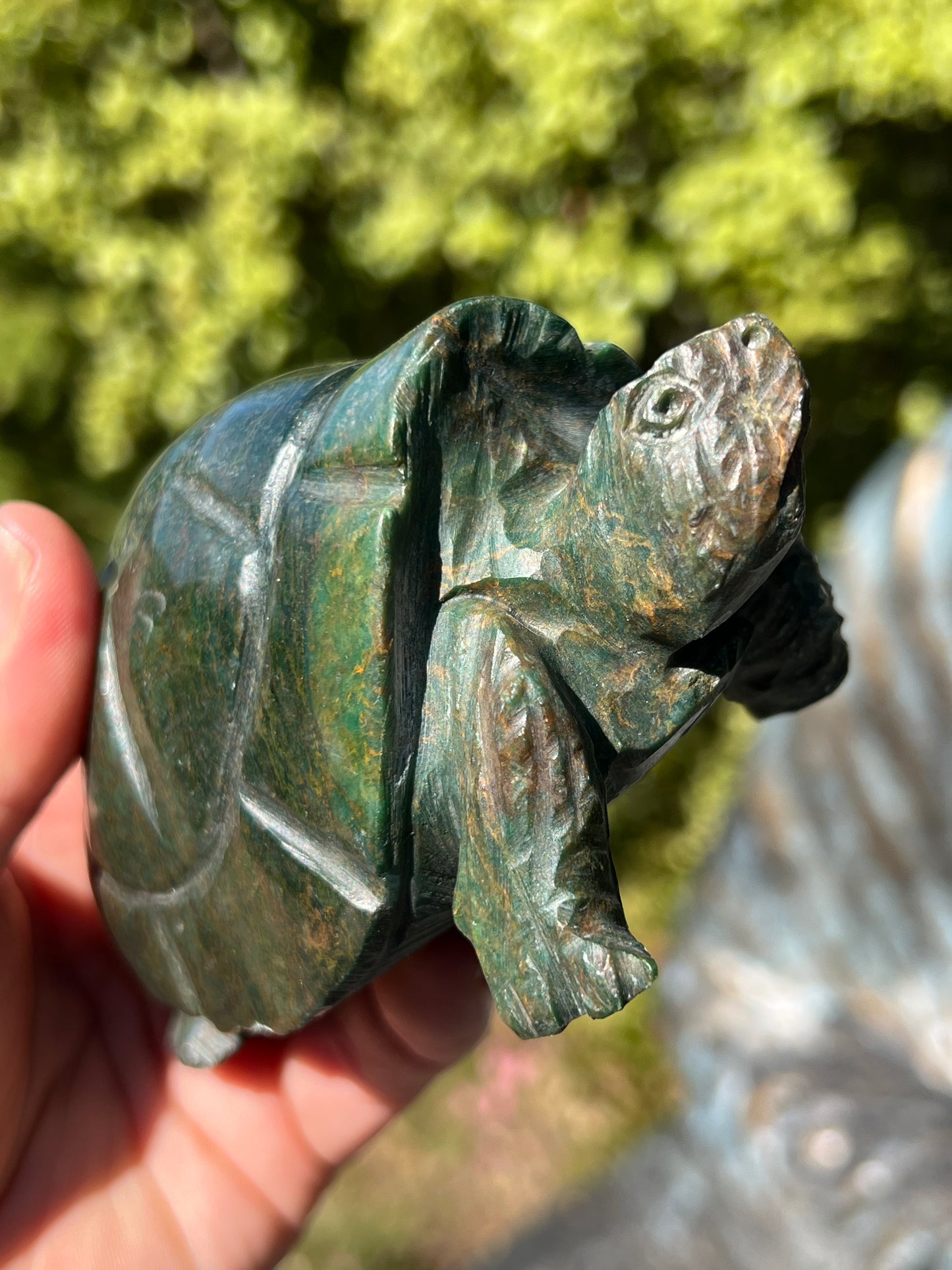 Verdite Turtle