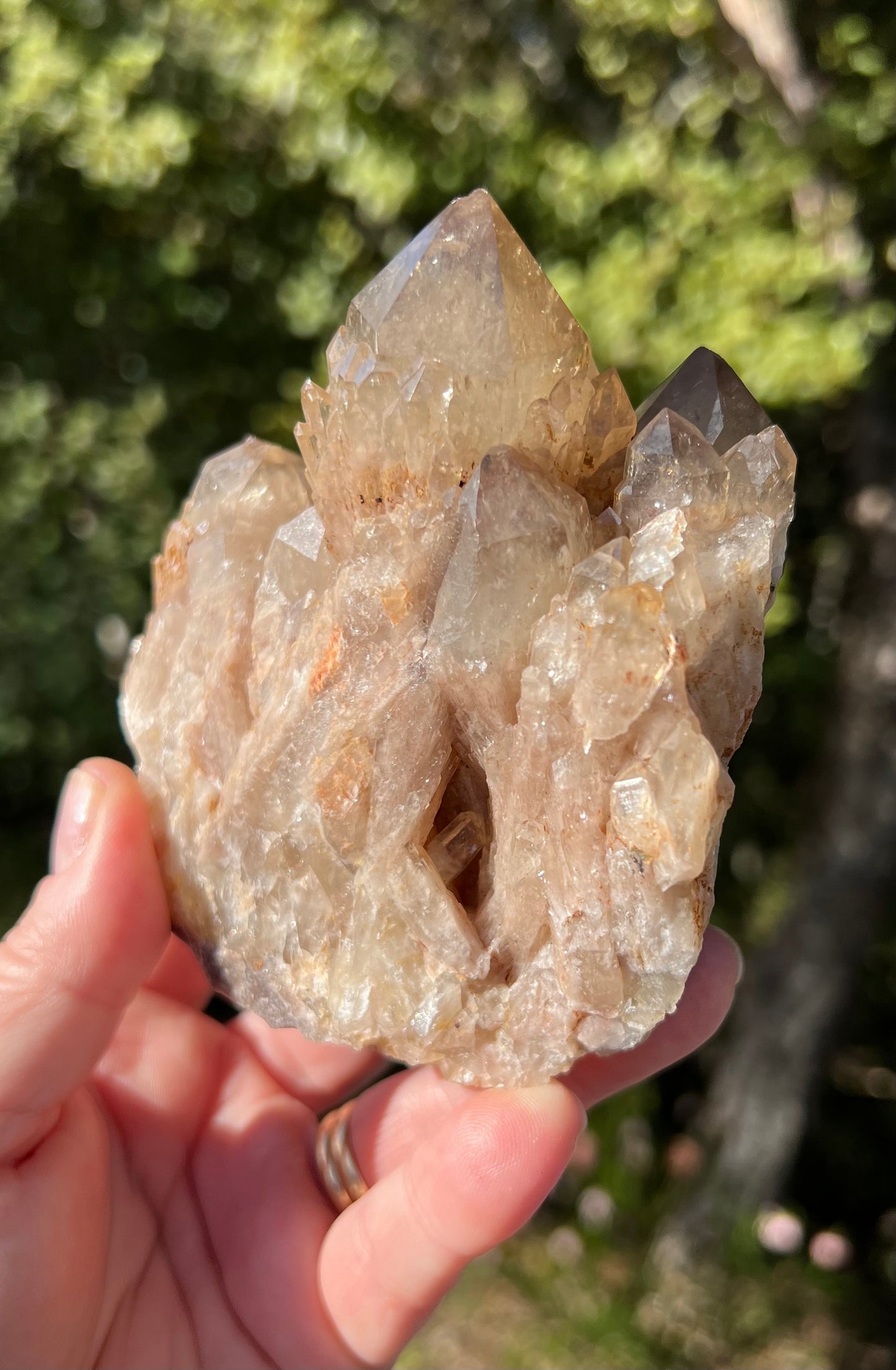Kundalini Smoky Citrine Cluster