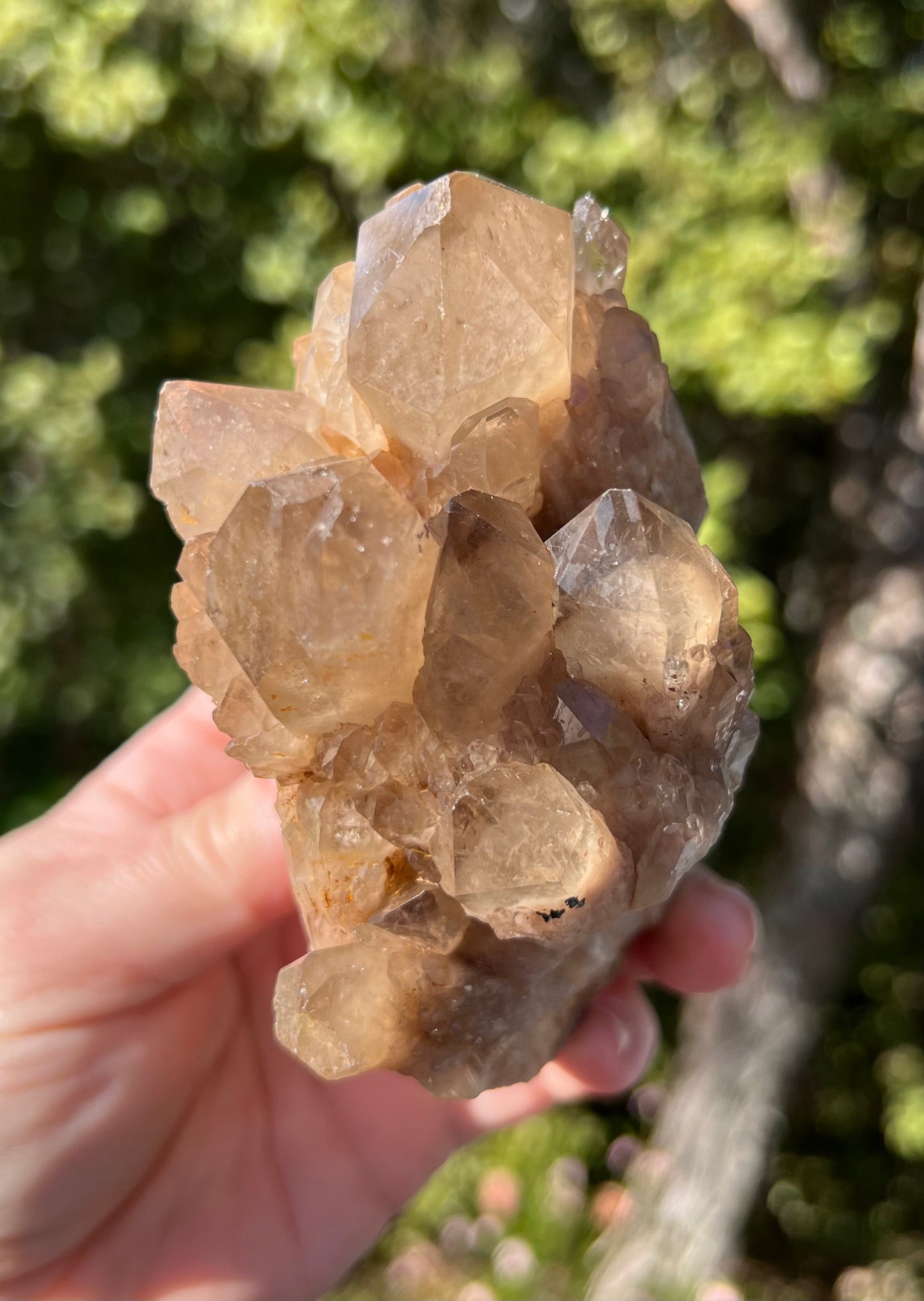Kundalini Smoky Citrine Cluster