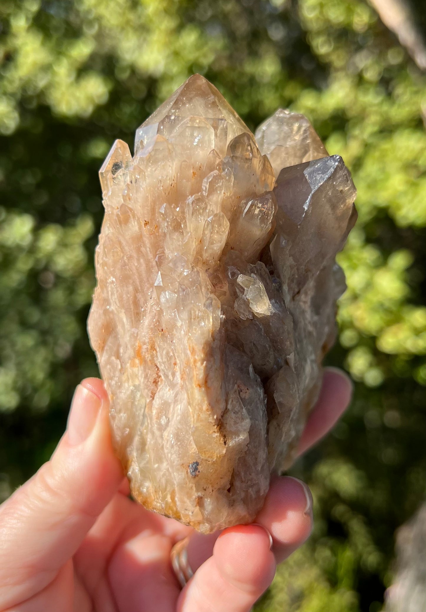 Kundalini Smoky Citrine Cluster