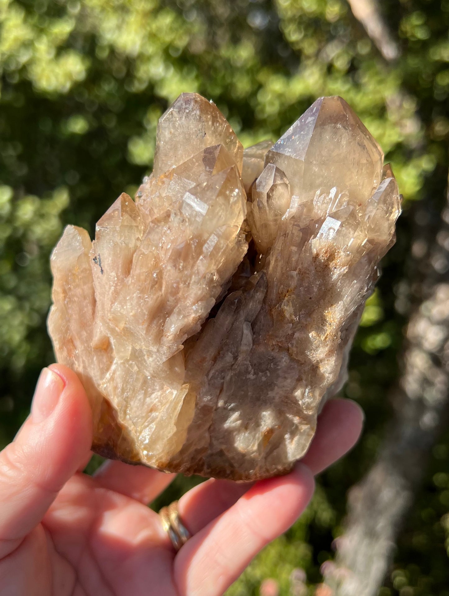 Kundalini Smoky Citrine Cluster