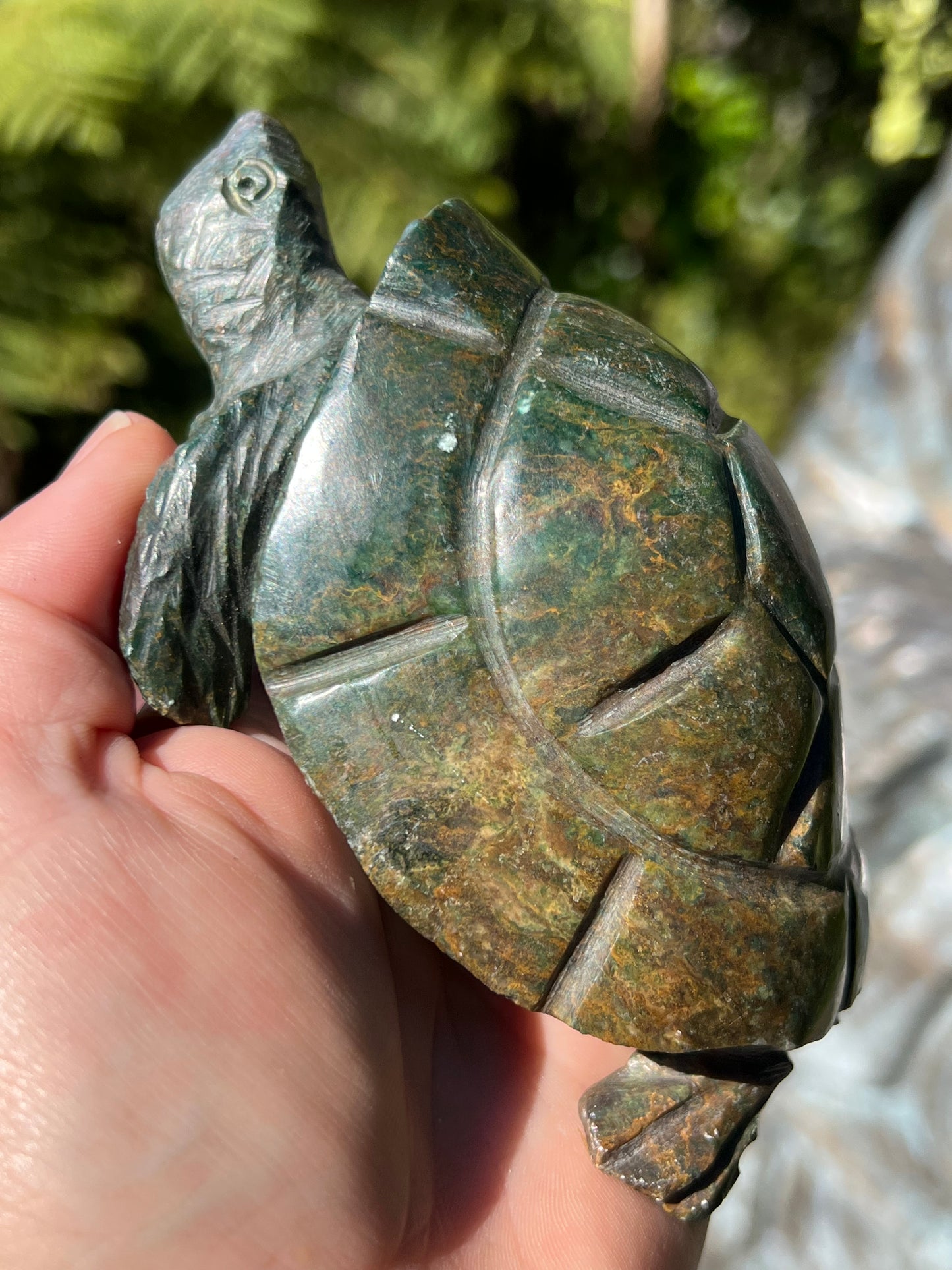 Verdite Turtle