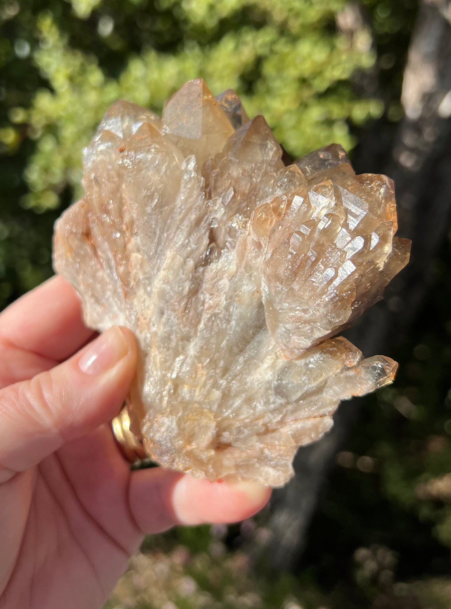 Kundalini Smoky Citrine Cluster